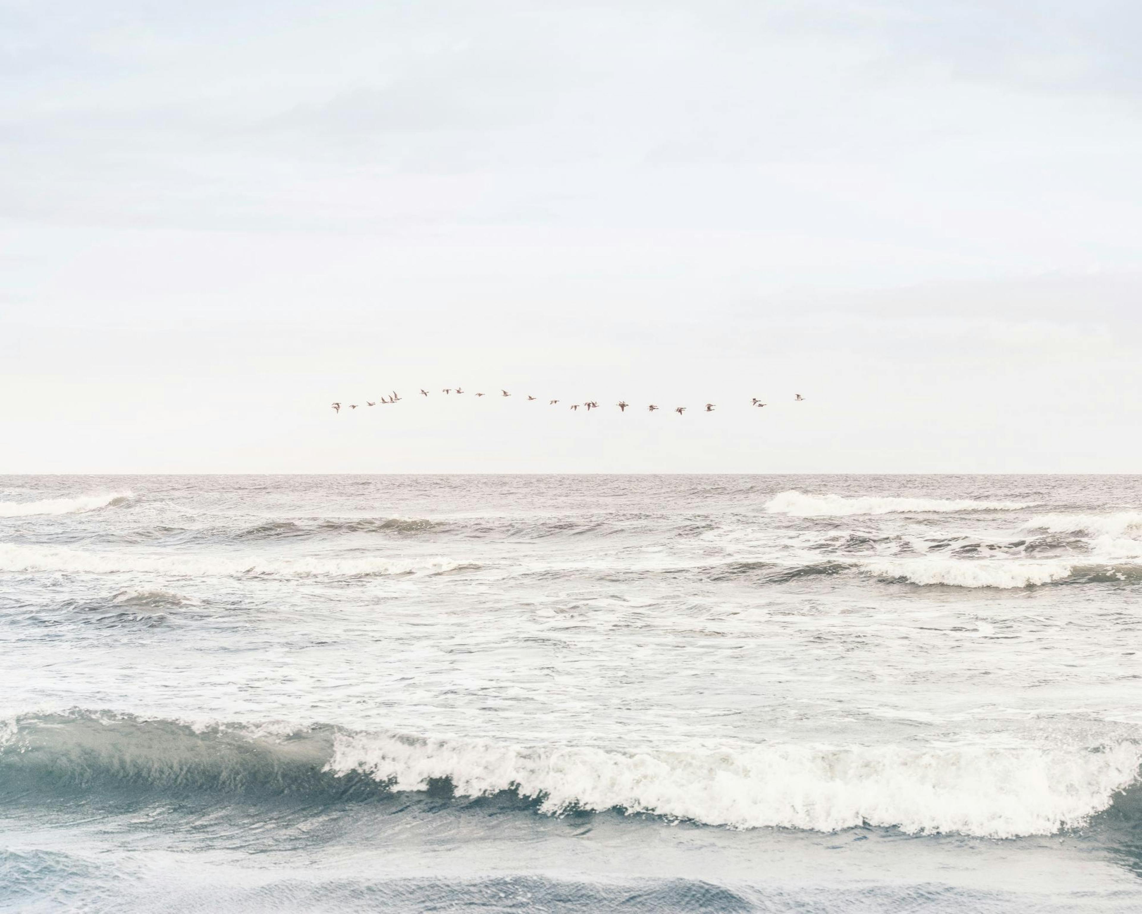 Soothing Sea Poster 0