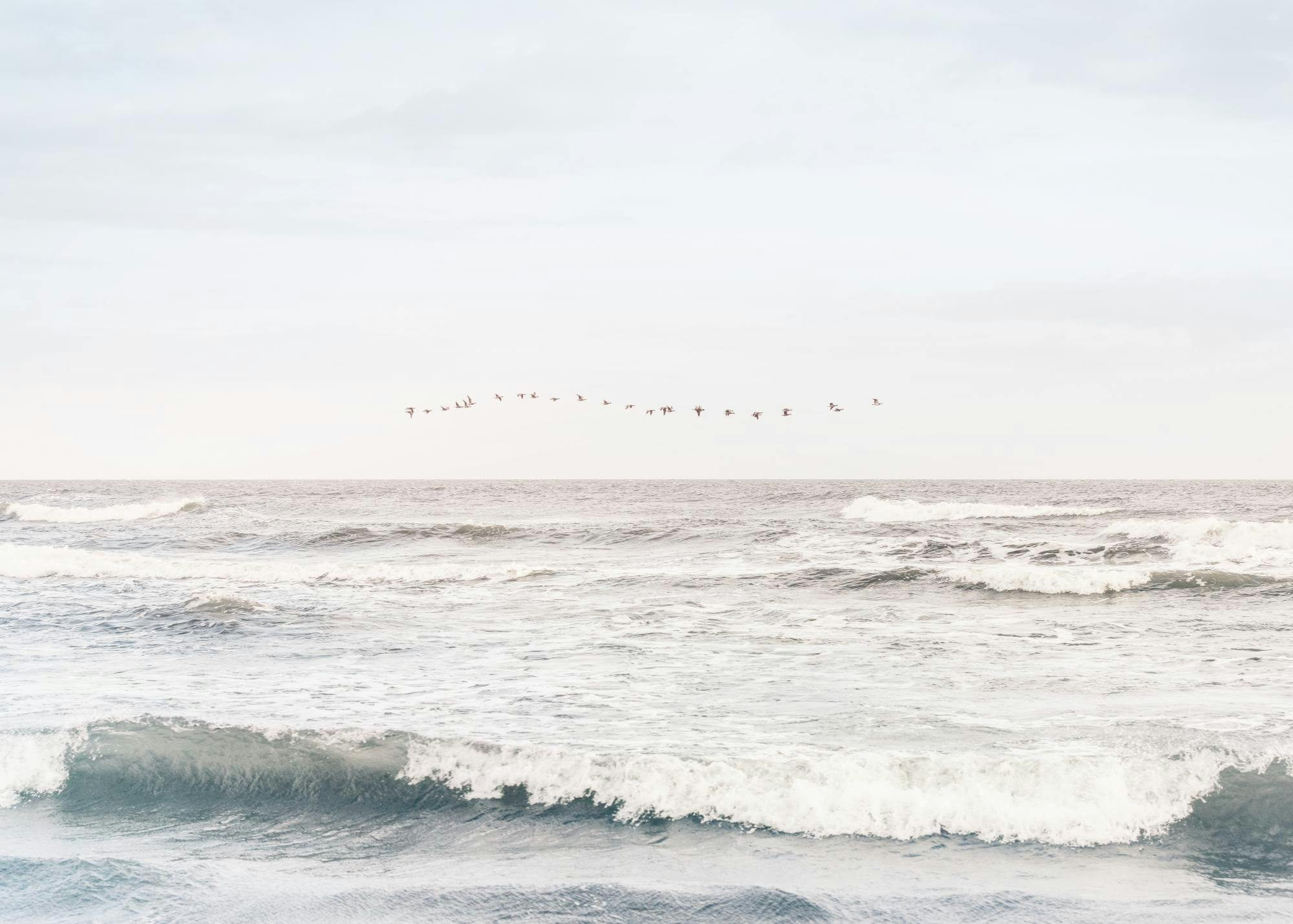 Soothing Sea Print 0
