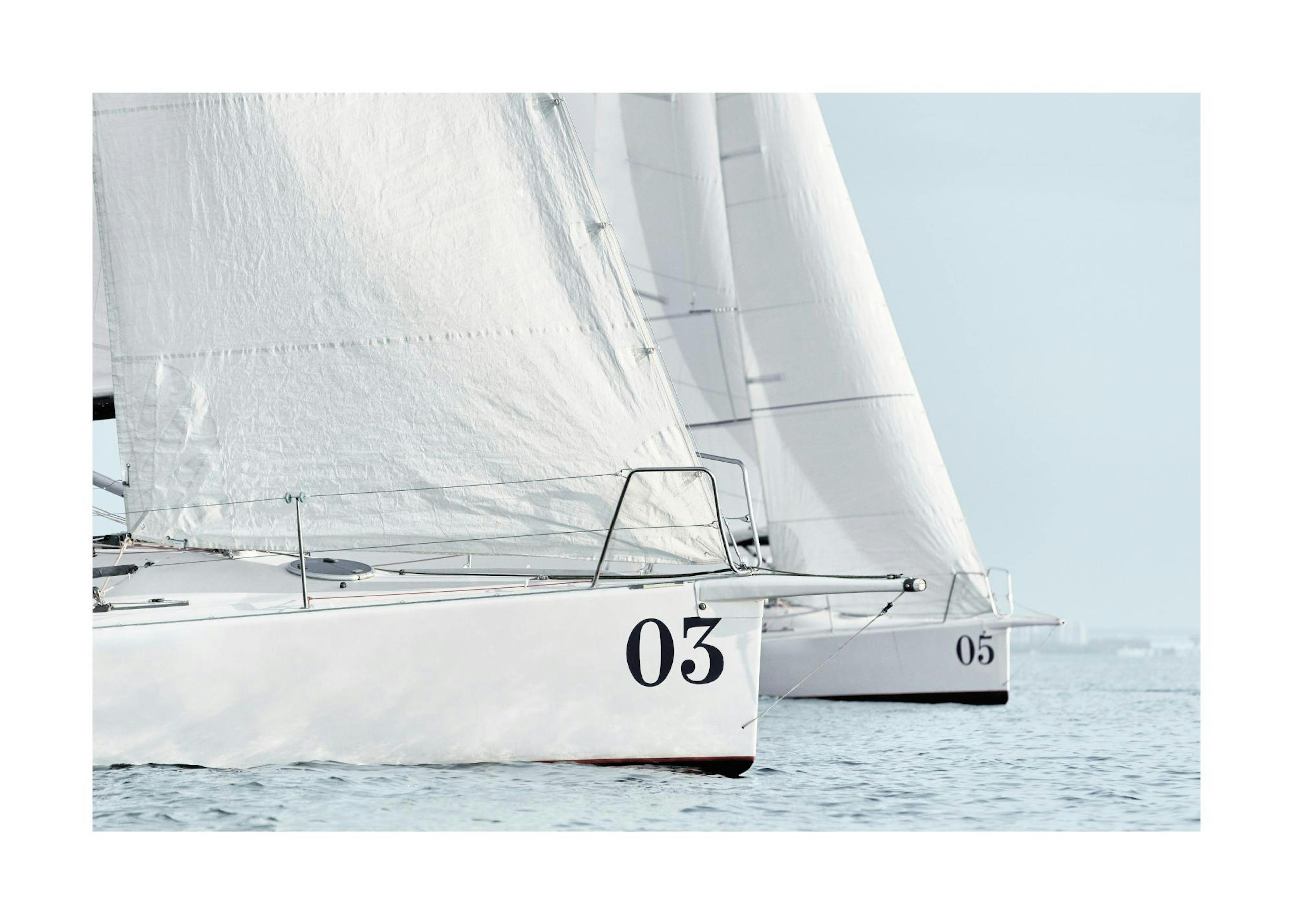 Sailboats Poster 0