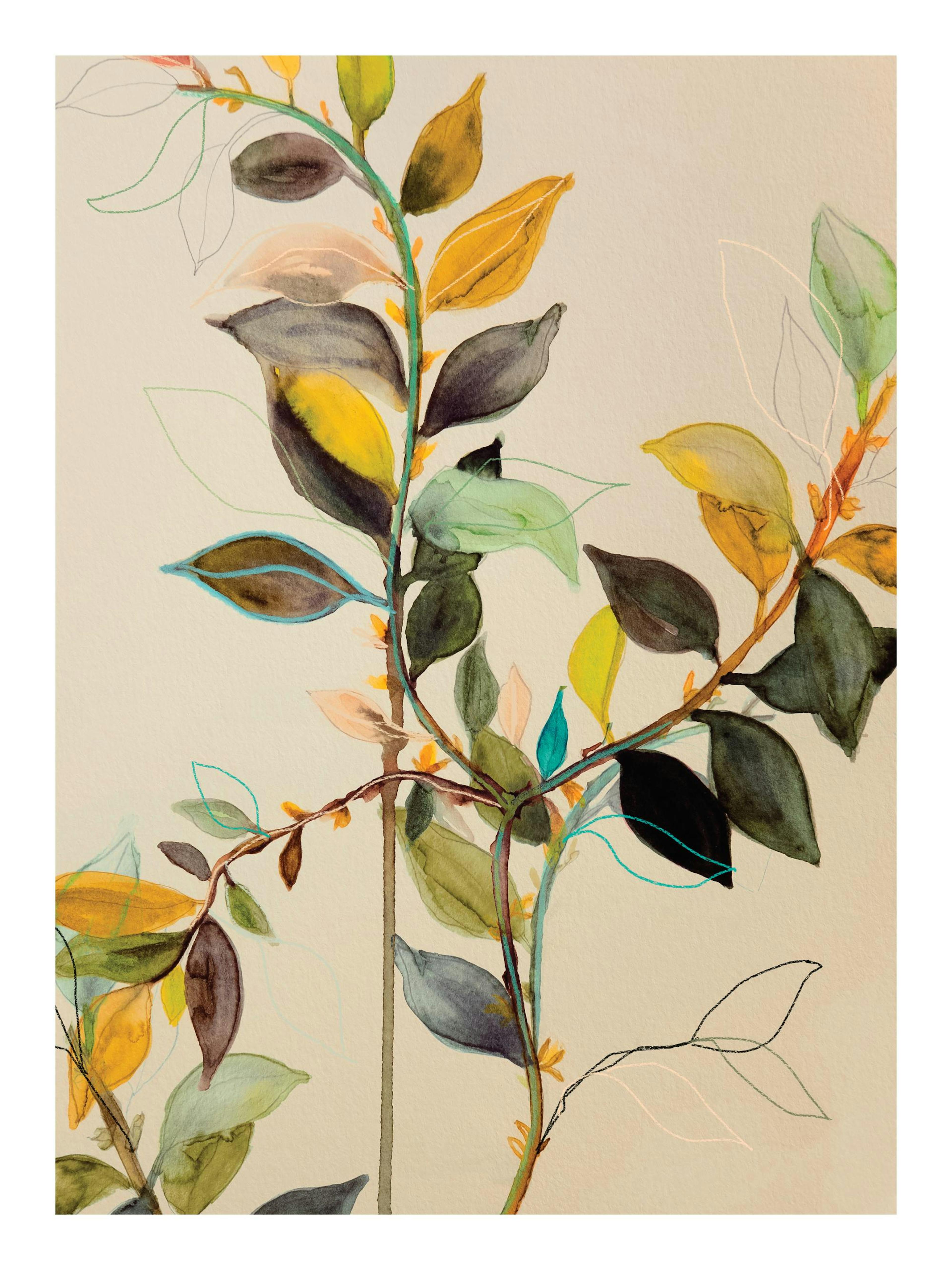 Leigh Viner - Willow Poster