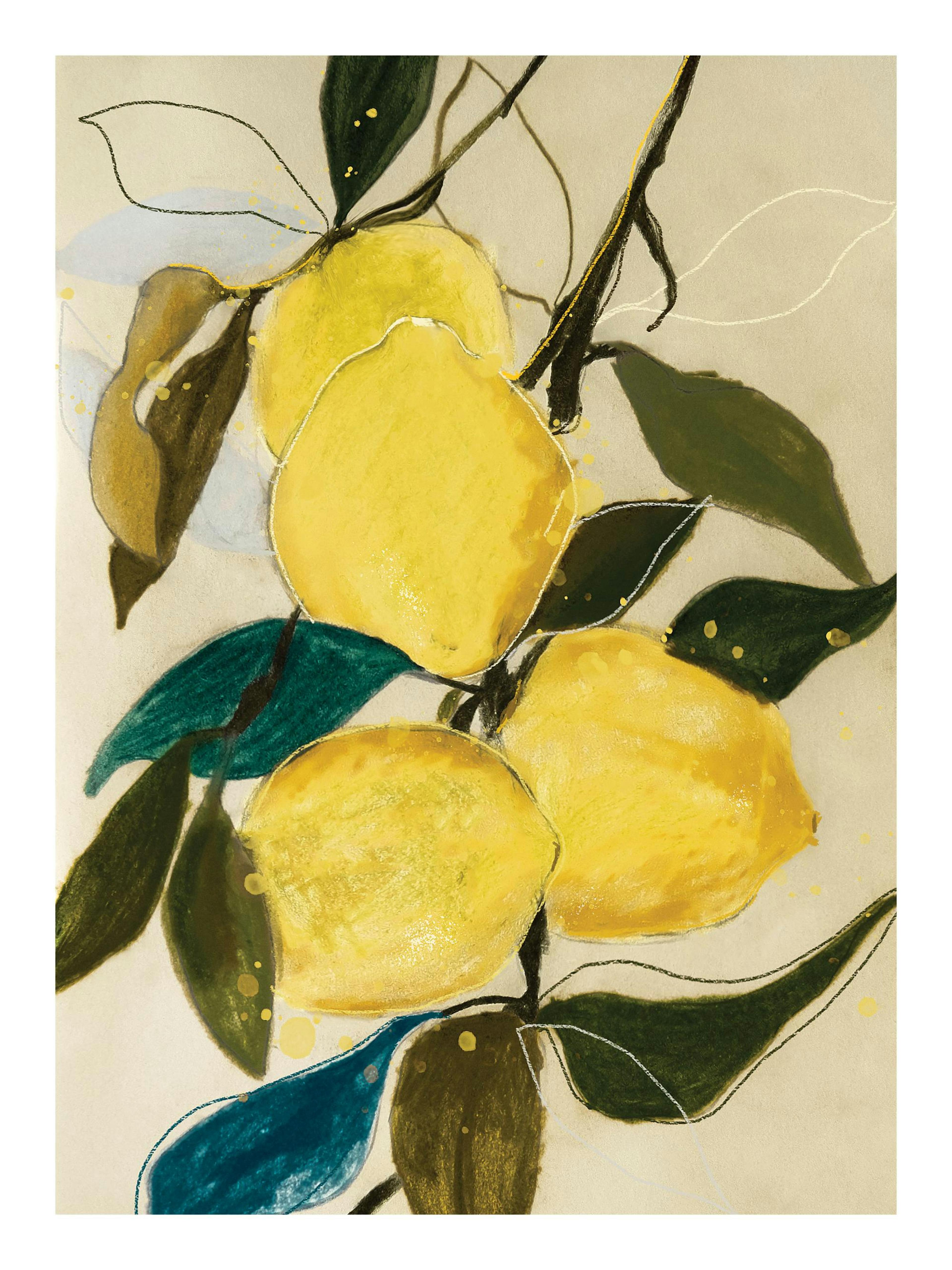 Leigh Viner - Lemon Study Print