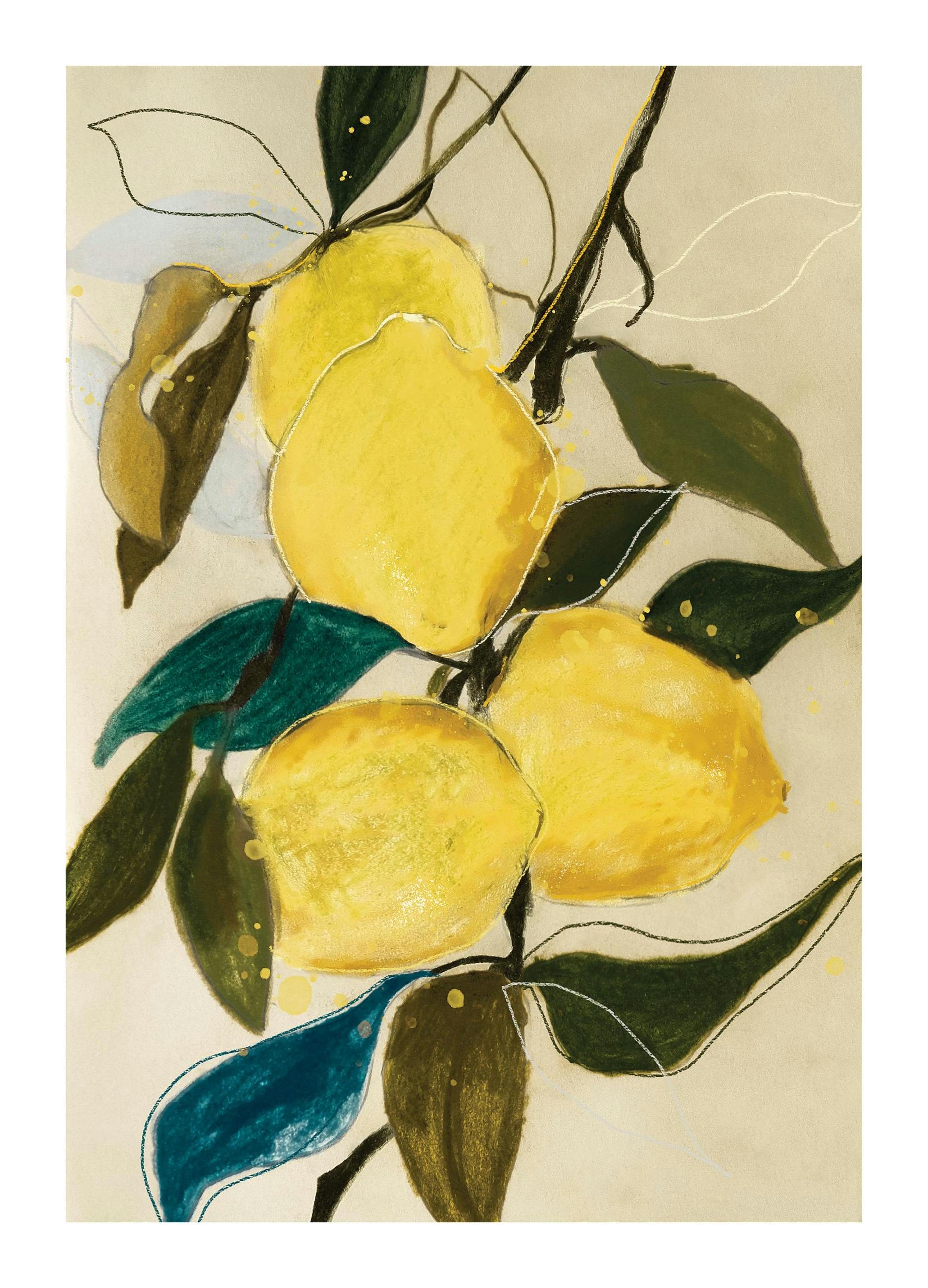 Leigh Viner - Lemon Study Print (50x70 cm)