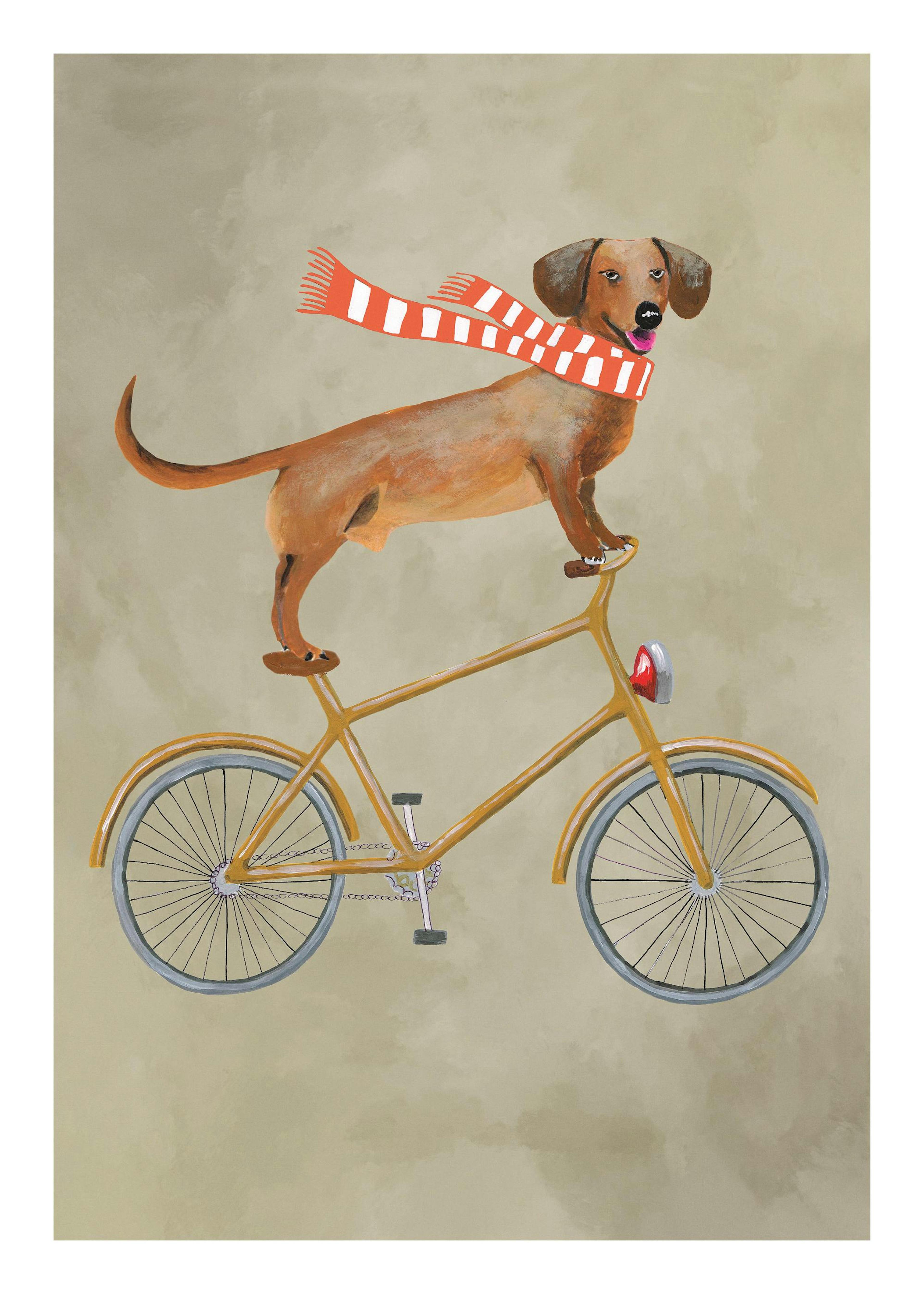 Coco De Paris - Dachshund on Bicycle in the Winter Print 0
