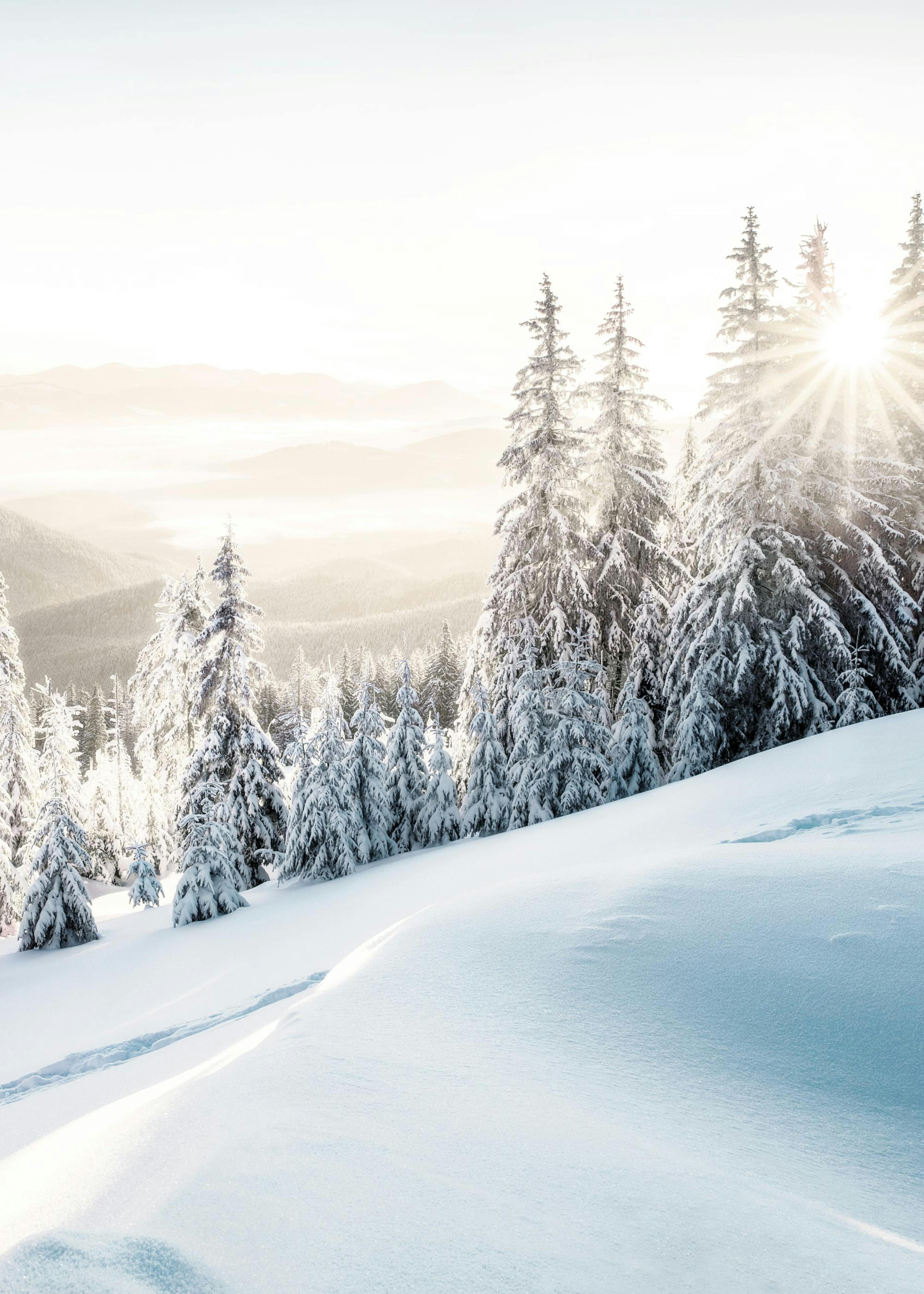 Winter Sunrise Print 0