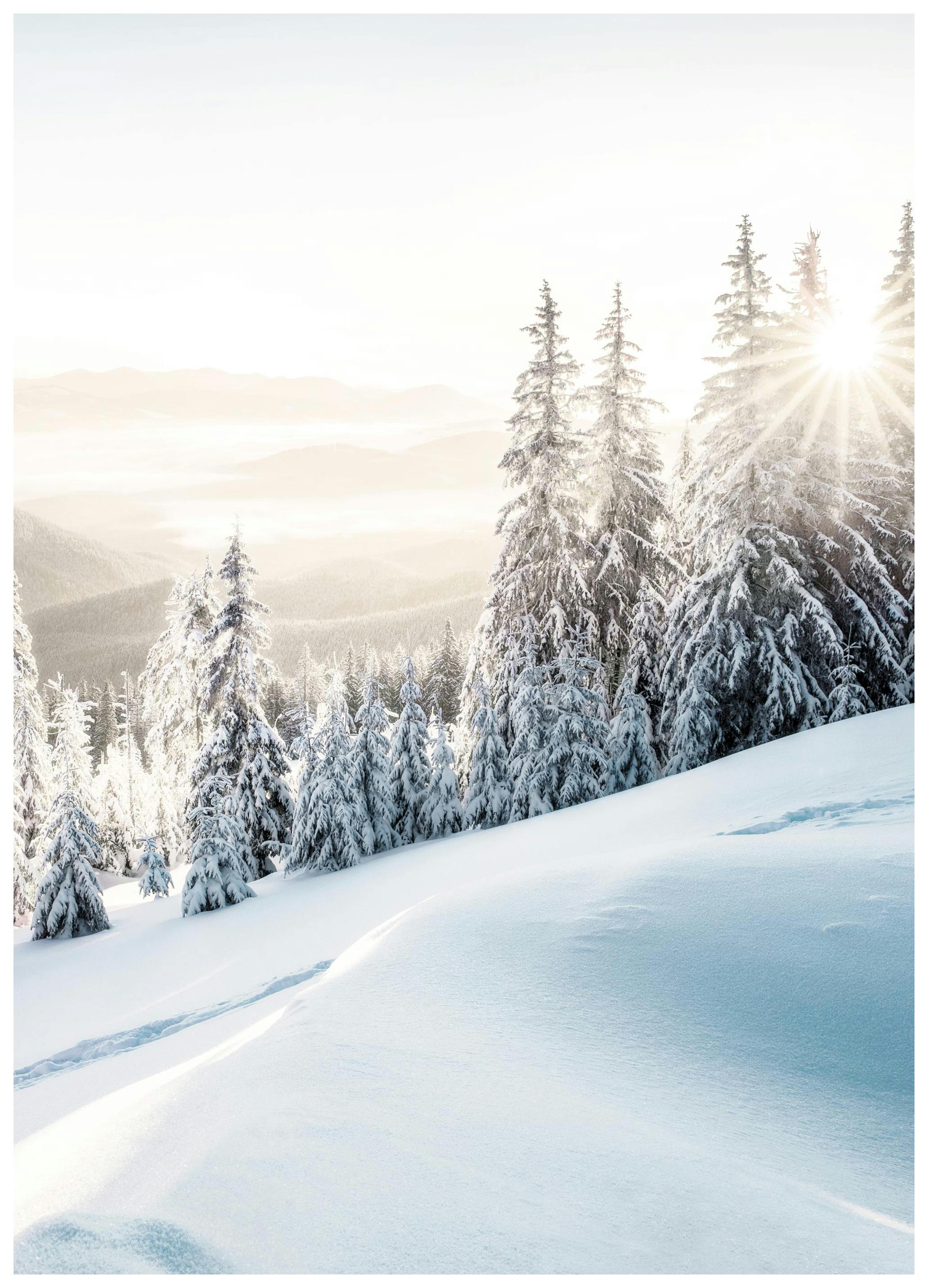 Winter Sunrise Poster (21x30 cm) - Winterposters