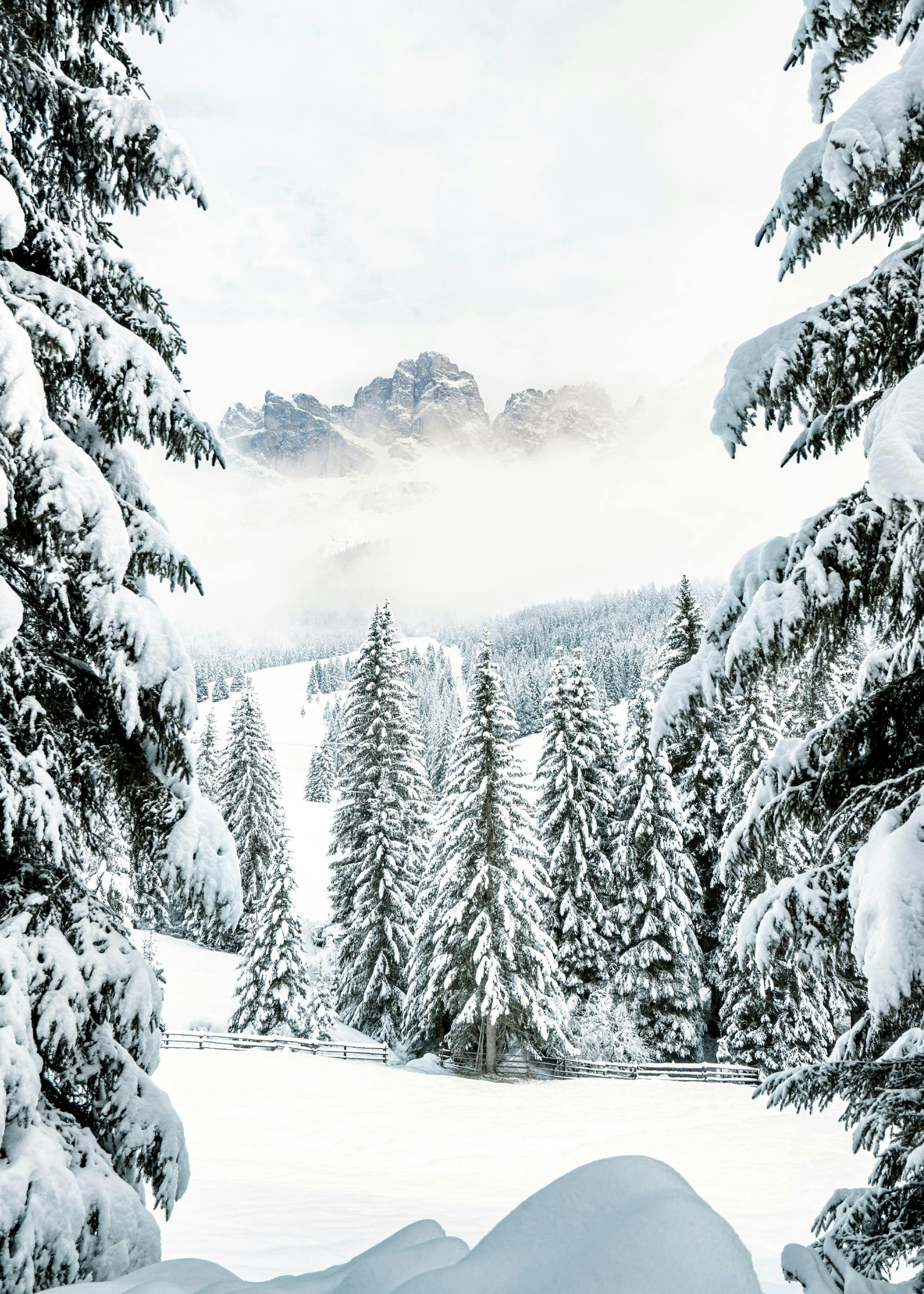 Winter Valley Print 0