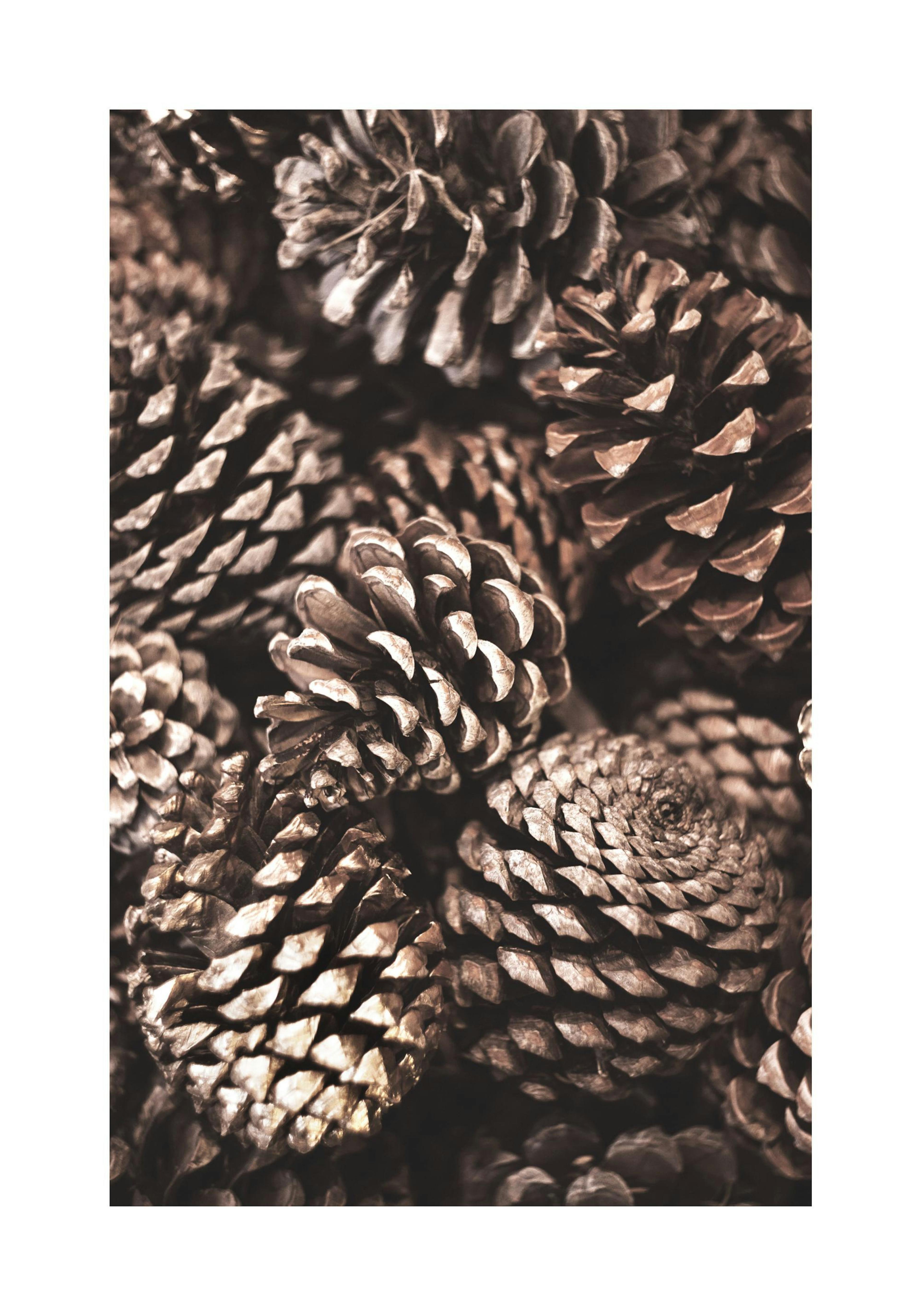 Product image: 1