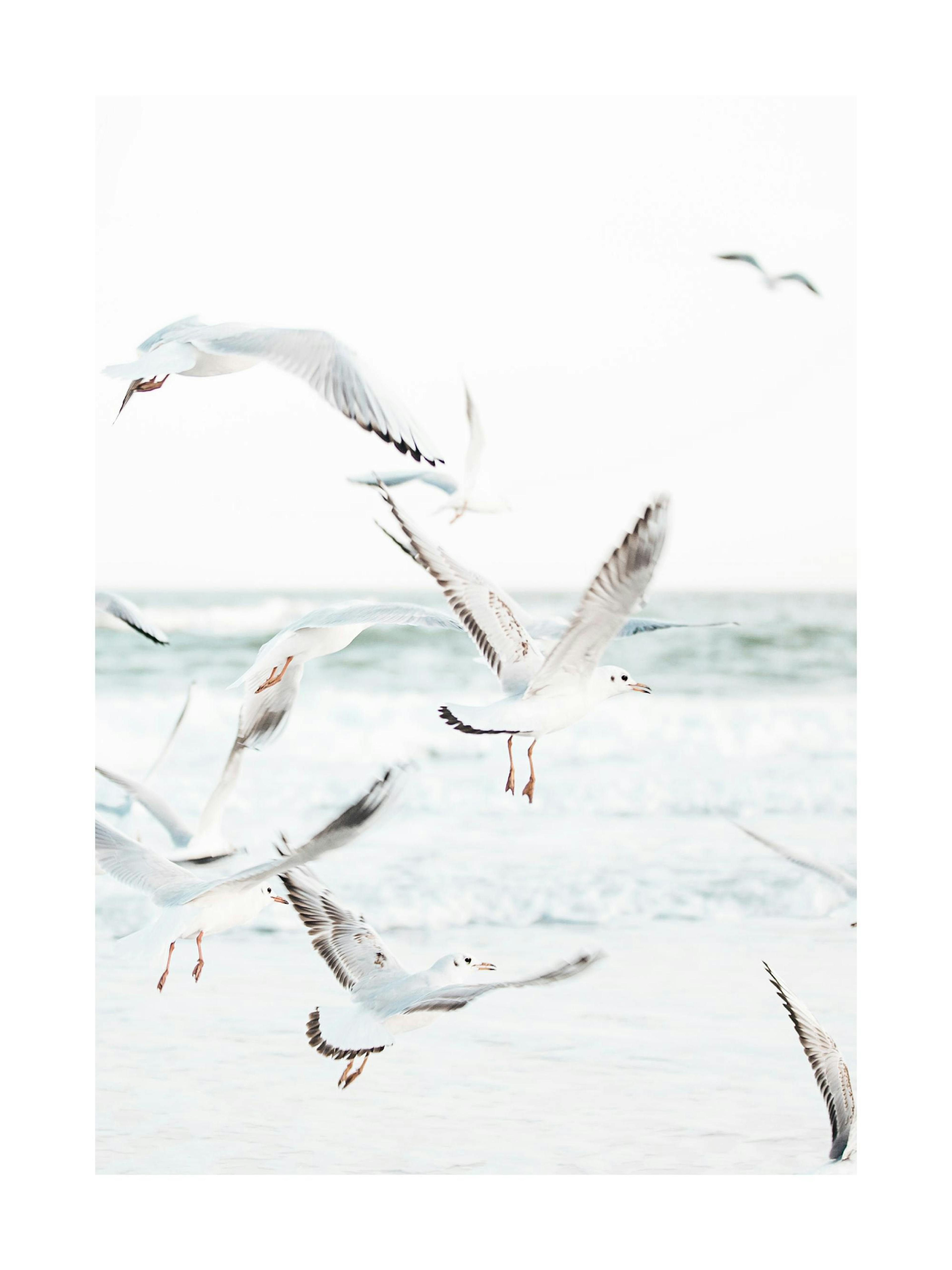 Product image: 1