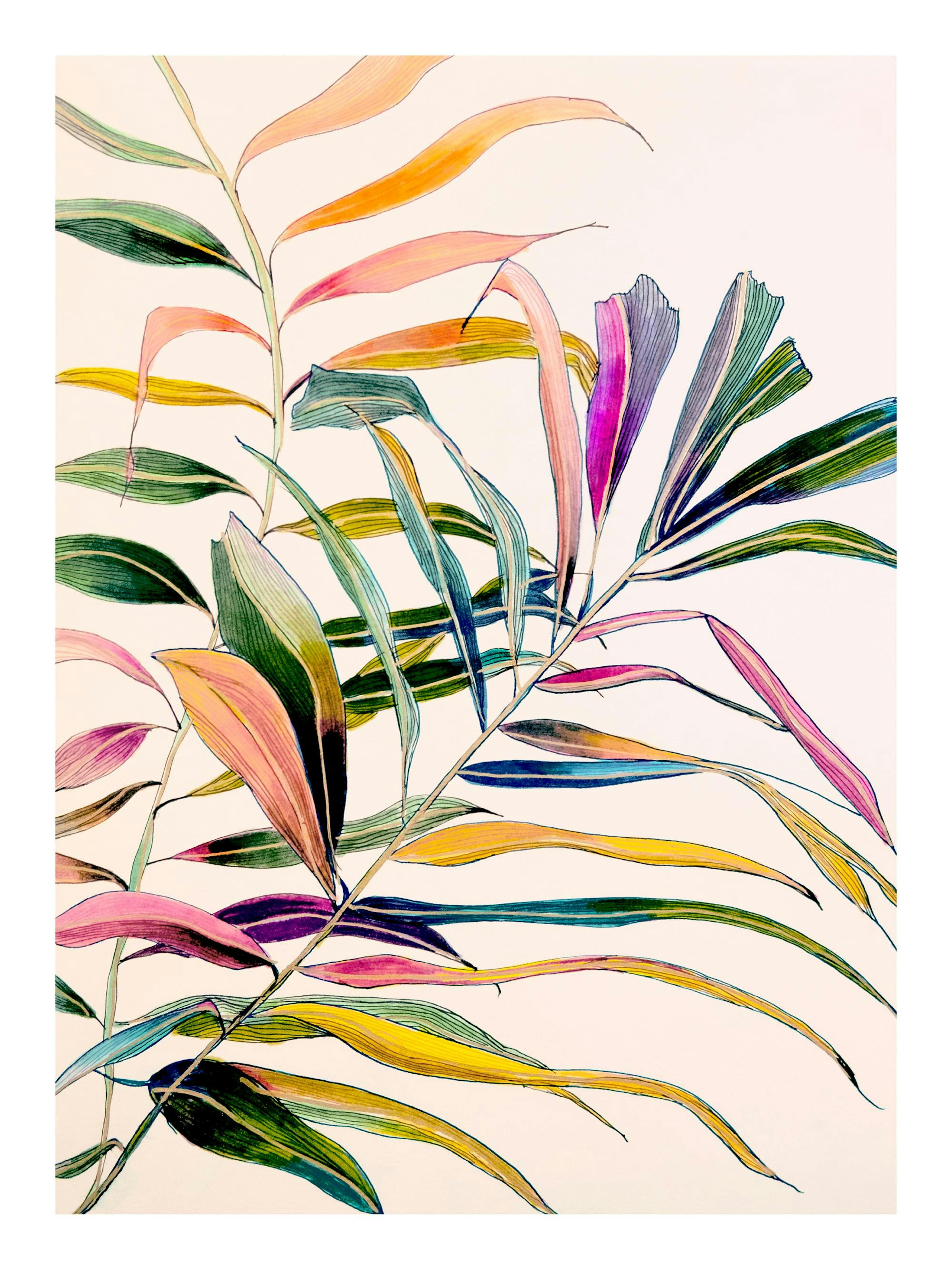 Leigh Viner - Palm in Color Plakat