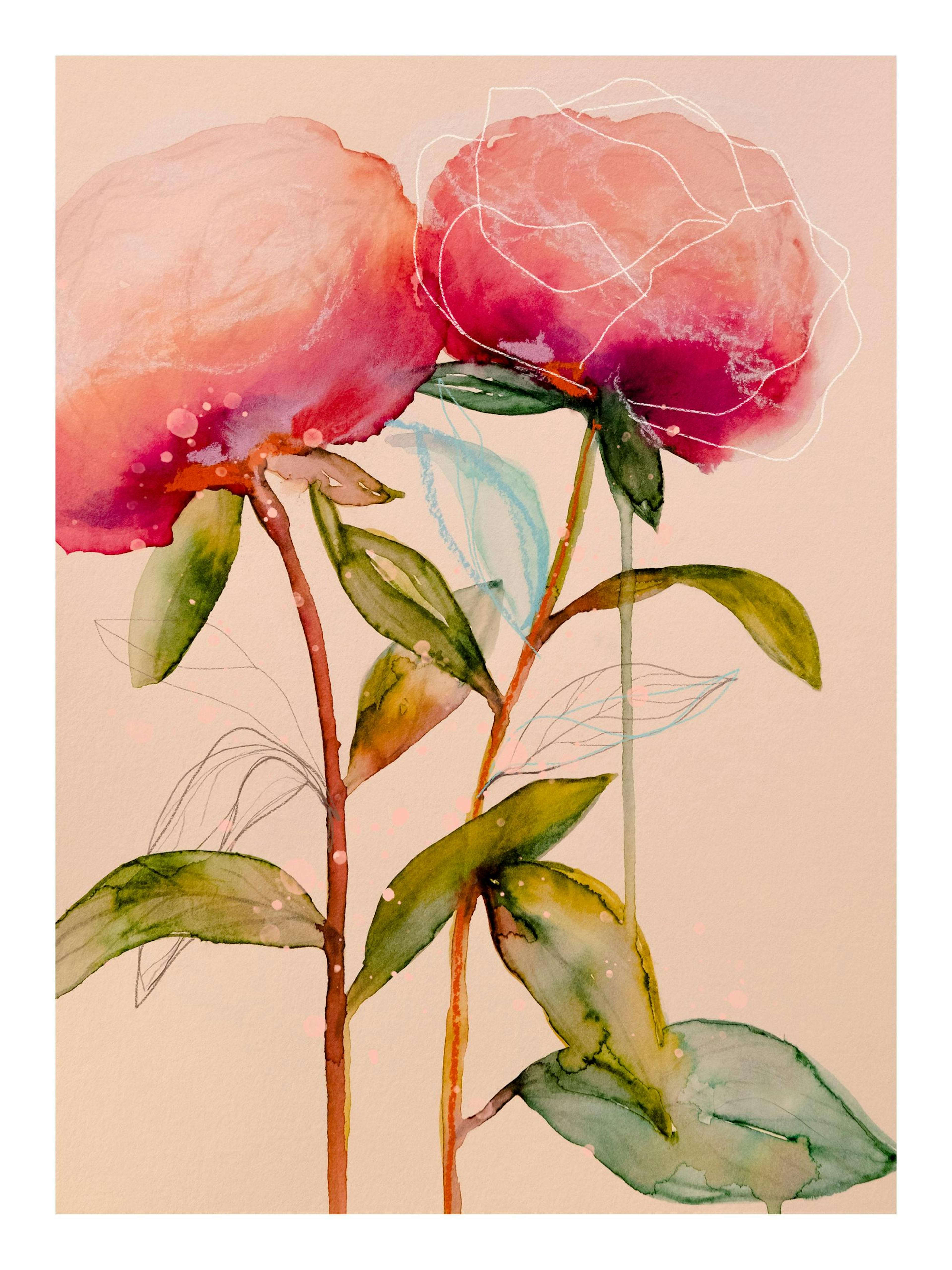 Leigh Viner - Artsy Peonies No2