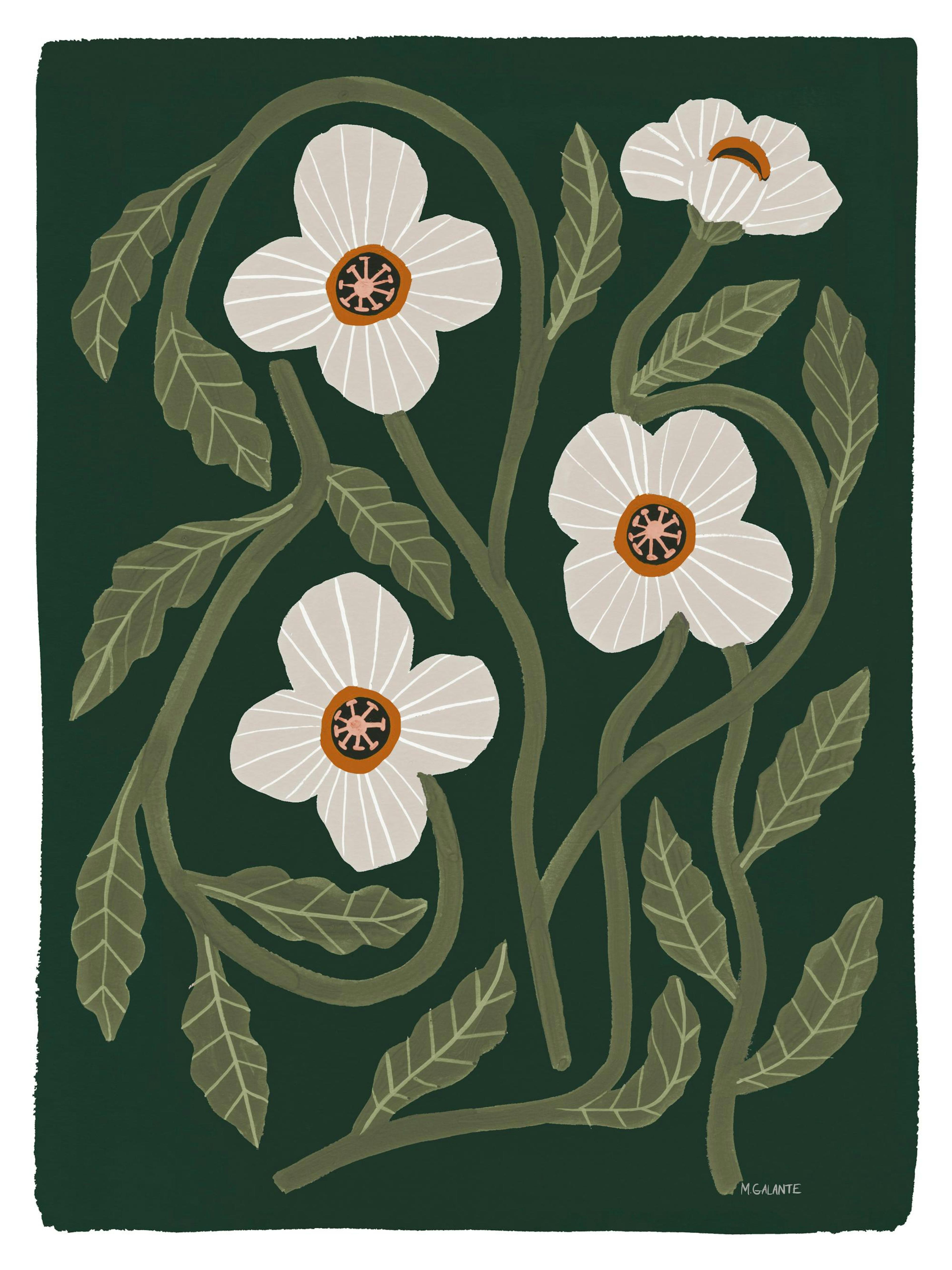 Megan Galante - California Poppy Print