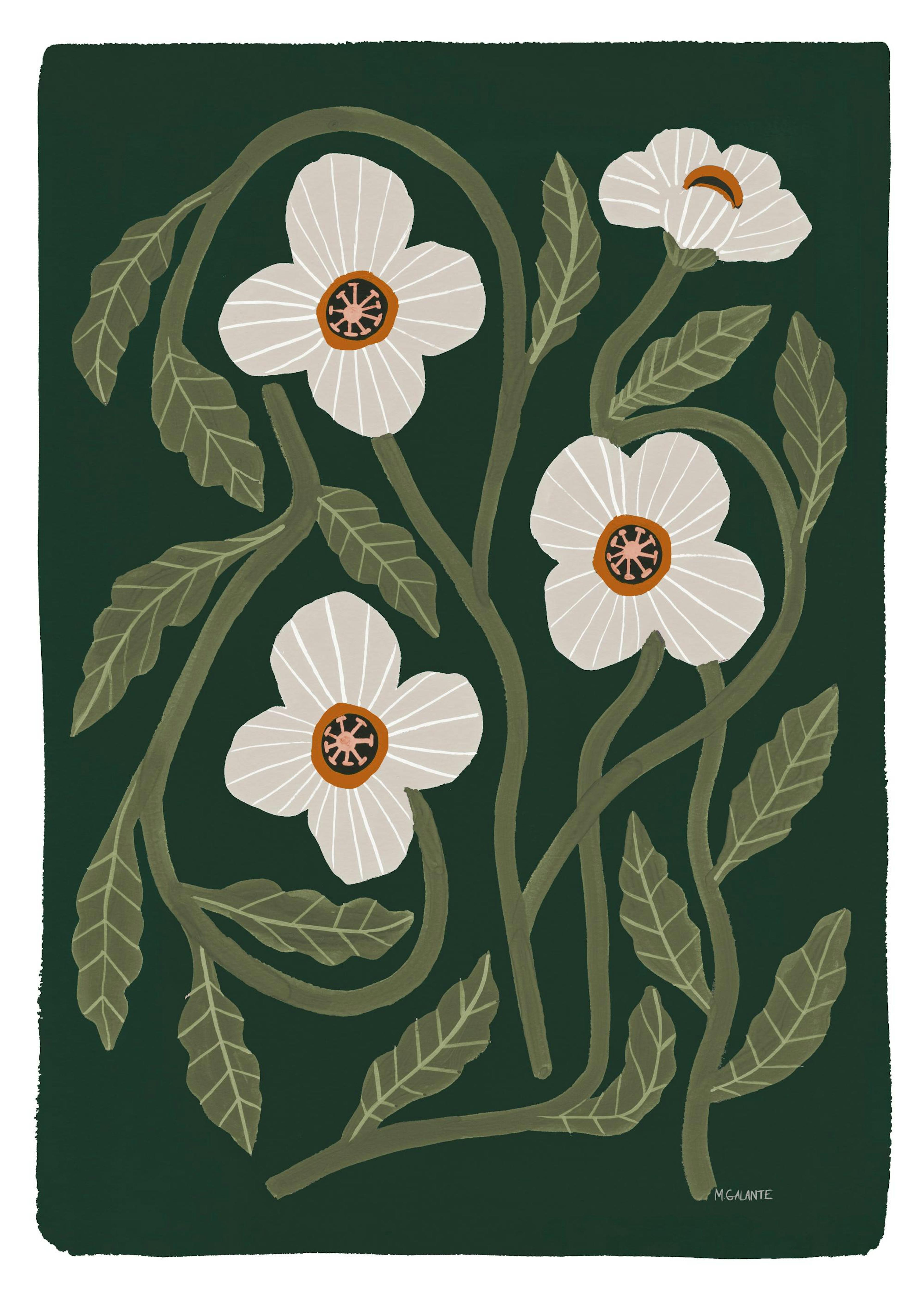 Megan Galante - California Poppy Print 0