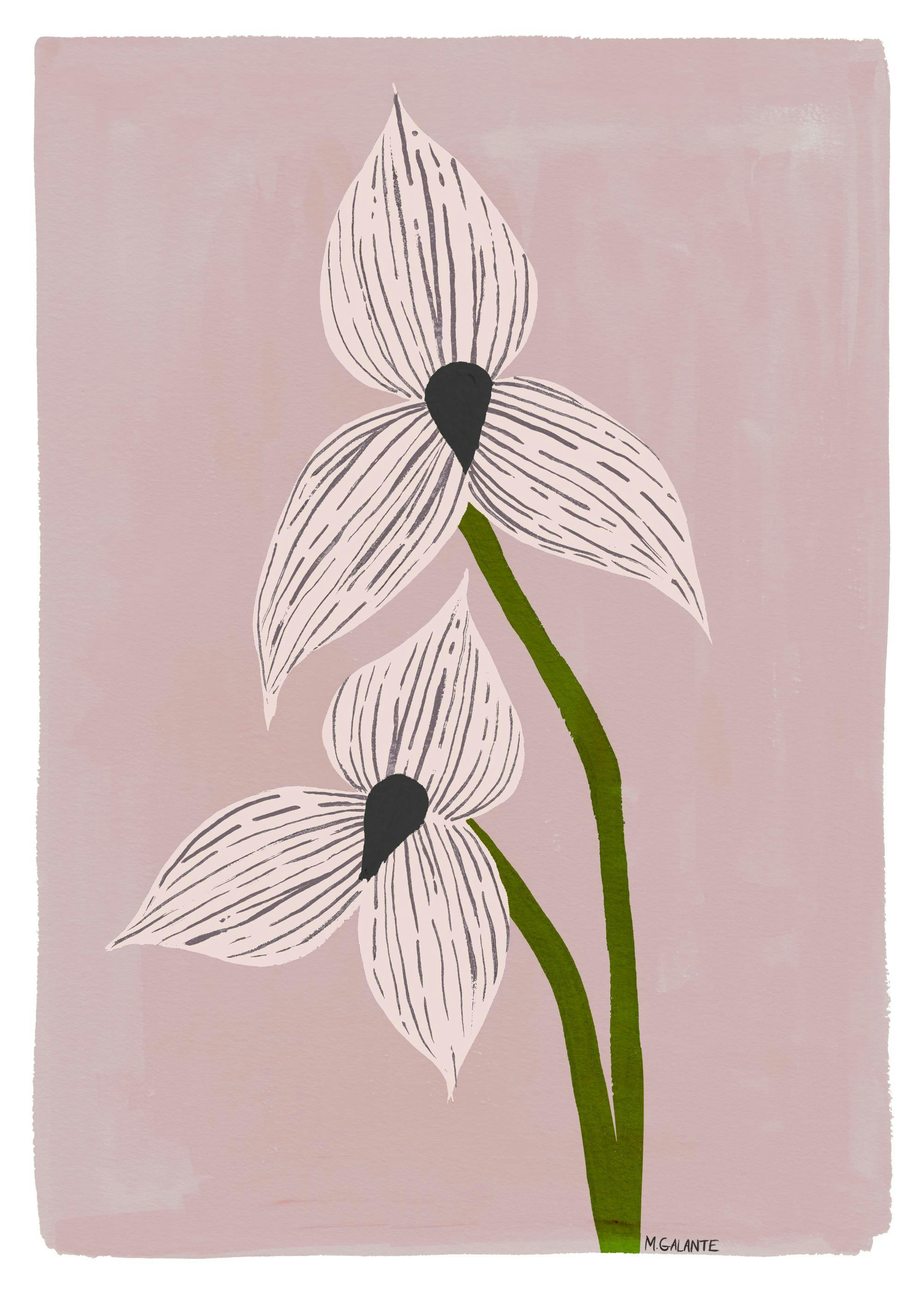 Megan Galante - Orchid Portrait Print 0