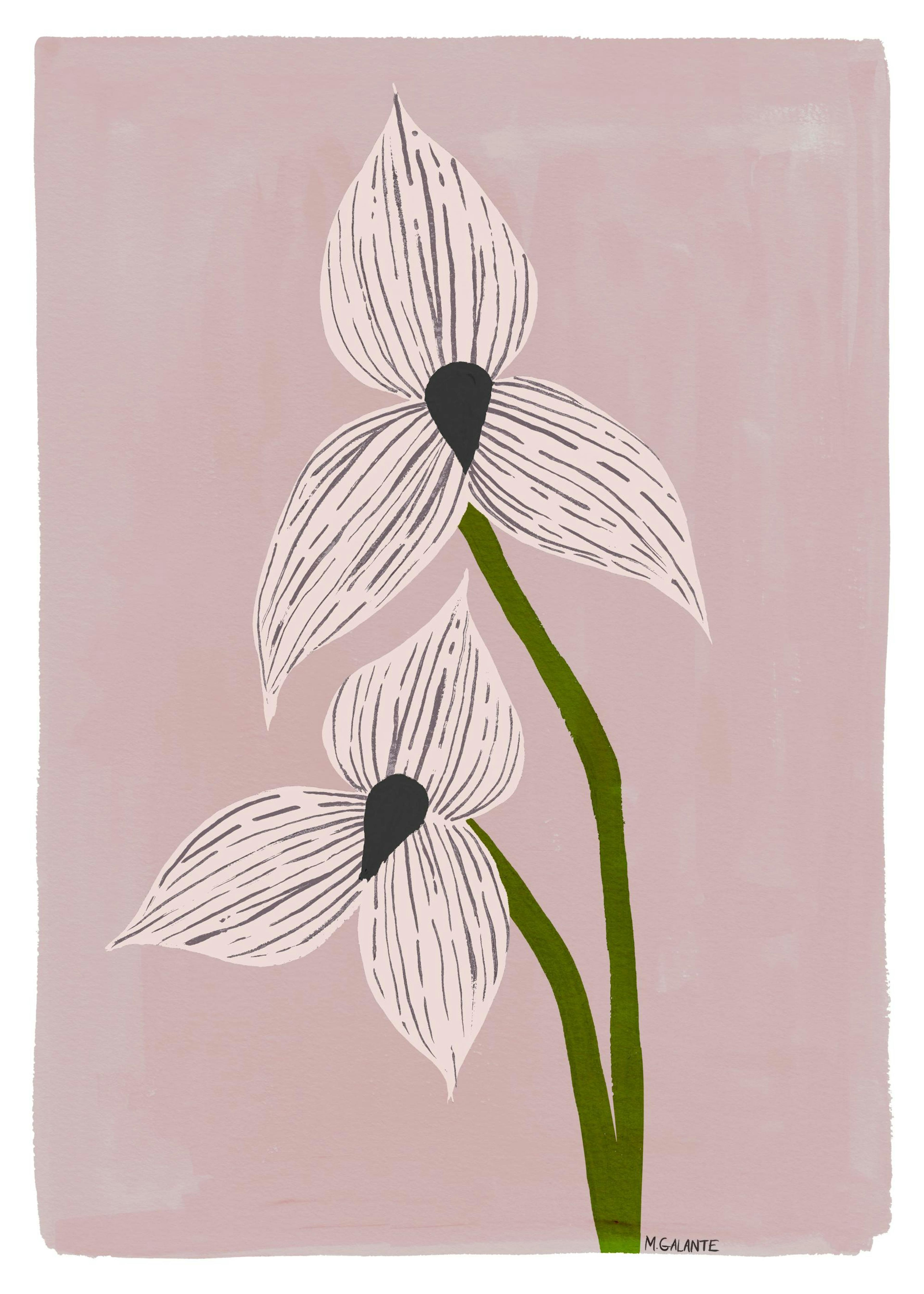 Megan Galante - Orchid Portrait Poster 0