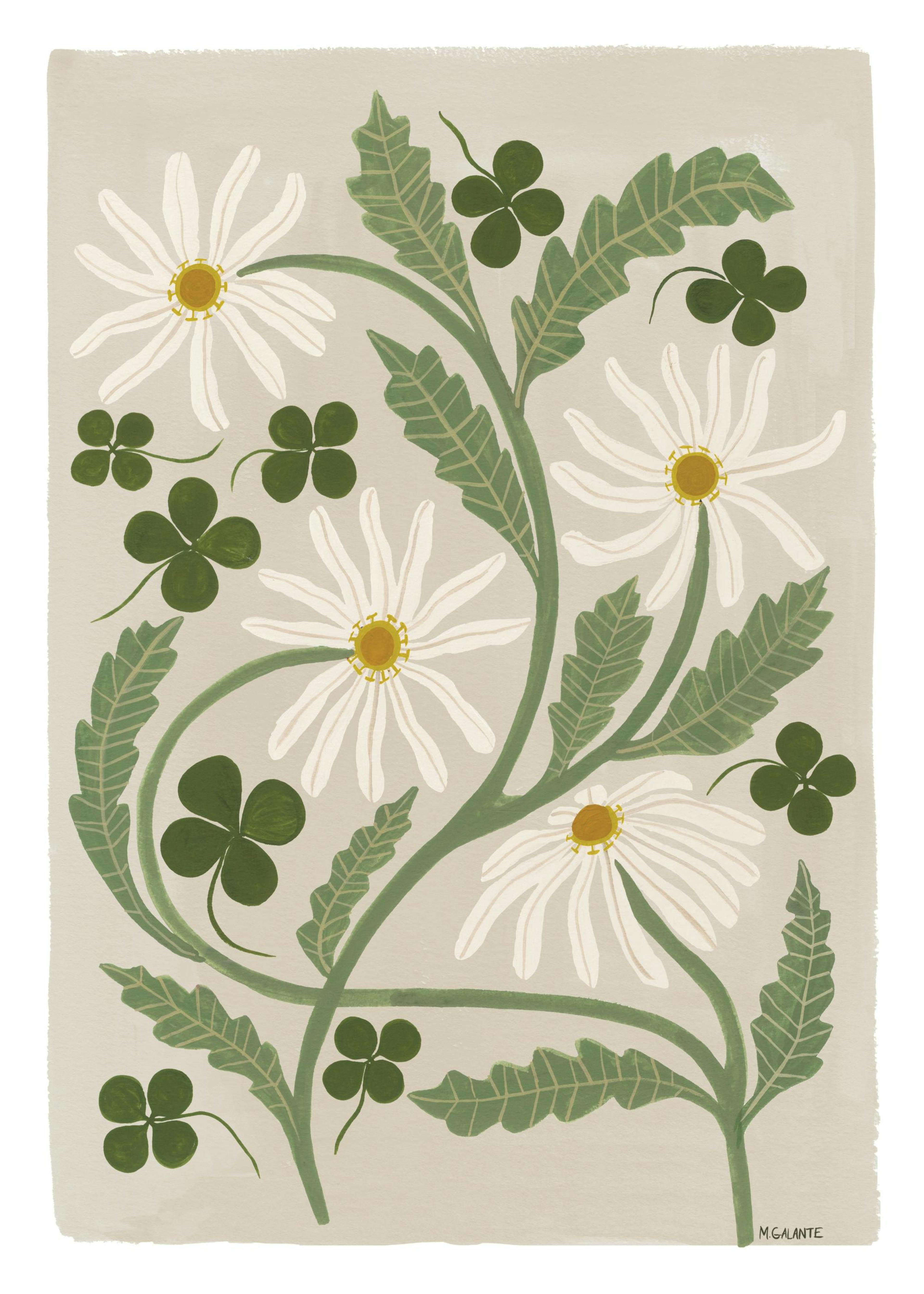Megan Galante - Clover Floral Poster 0