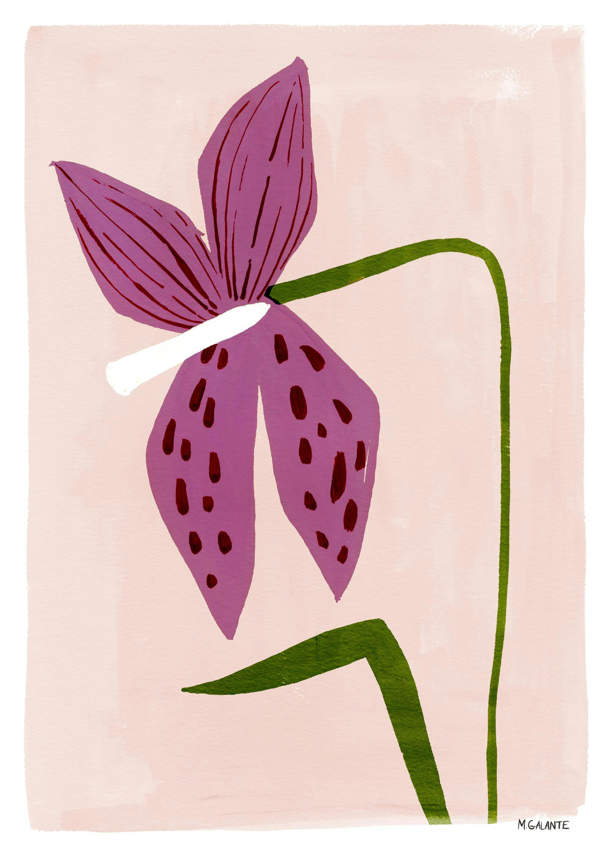 Megan Galante - Lily Portrait Print 0