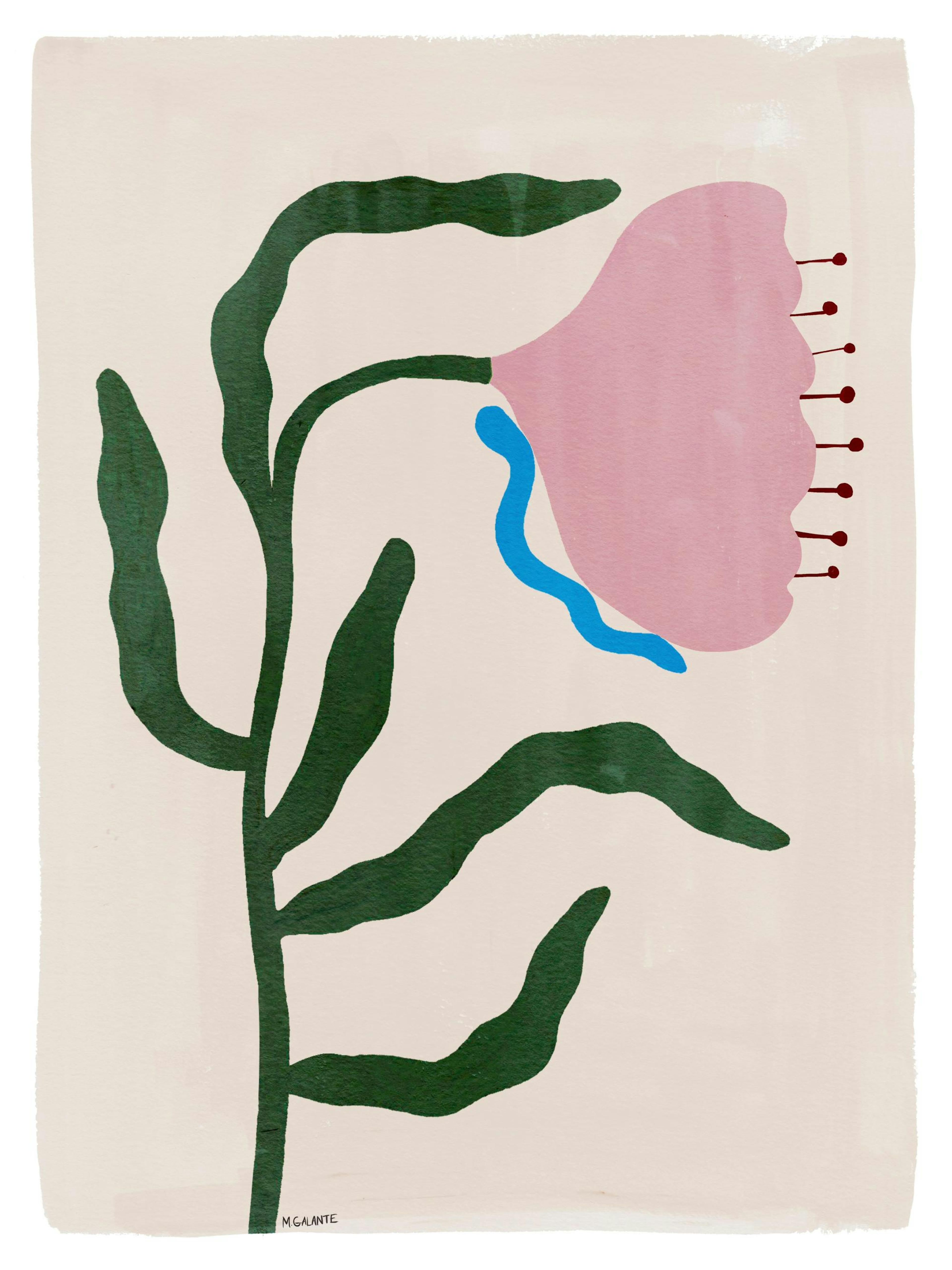 Megan Galante - Morning Floral Print