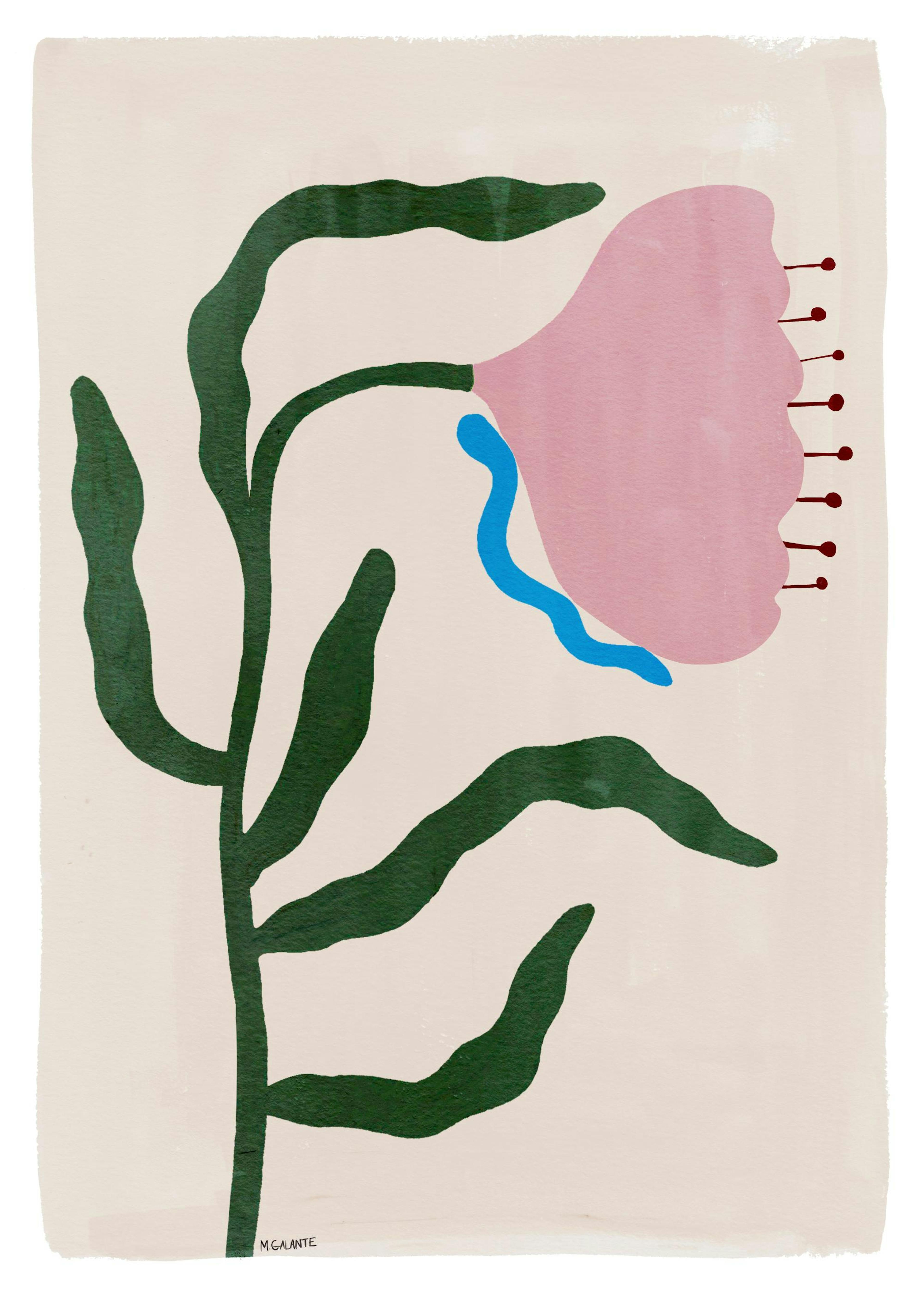 Megan Galante - Morning Floral Plakat 0
