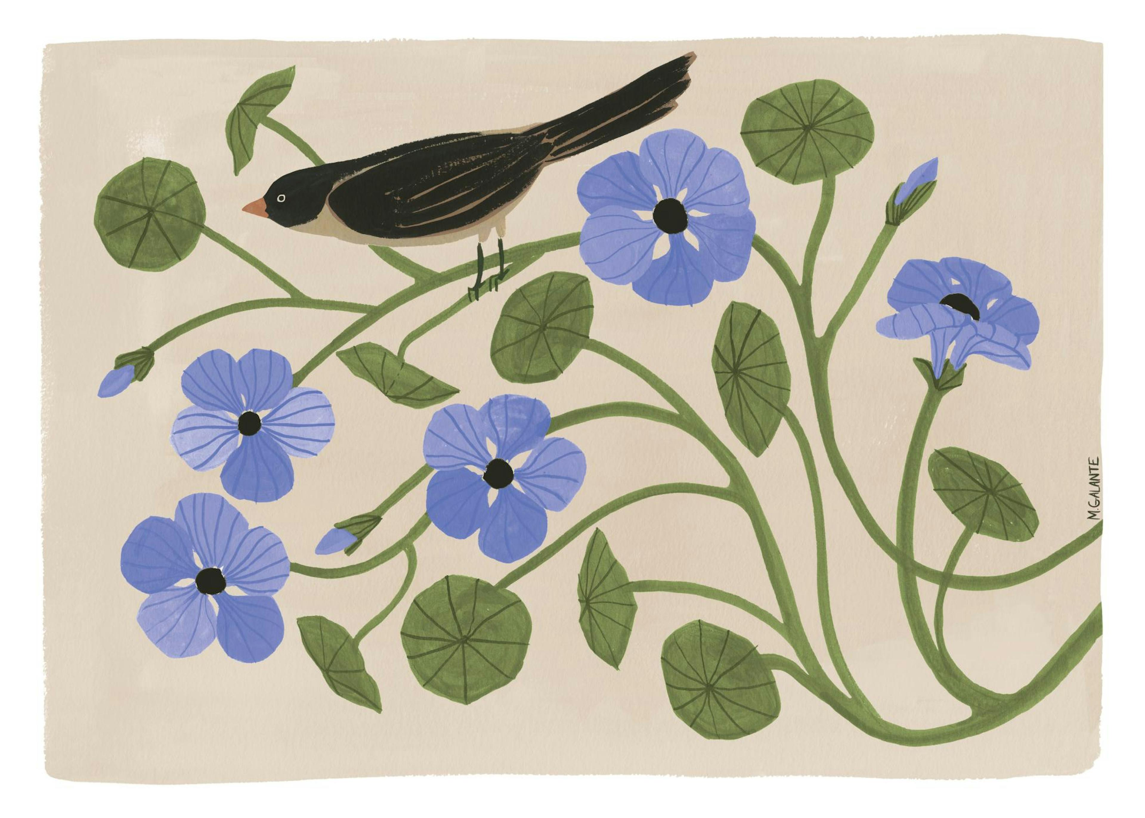 Megan Galante - Garden Pansey Print 0