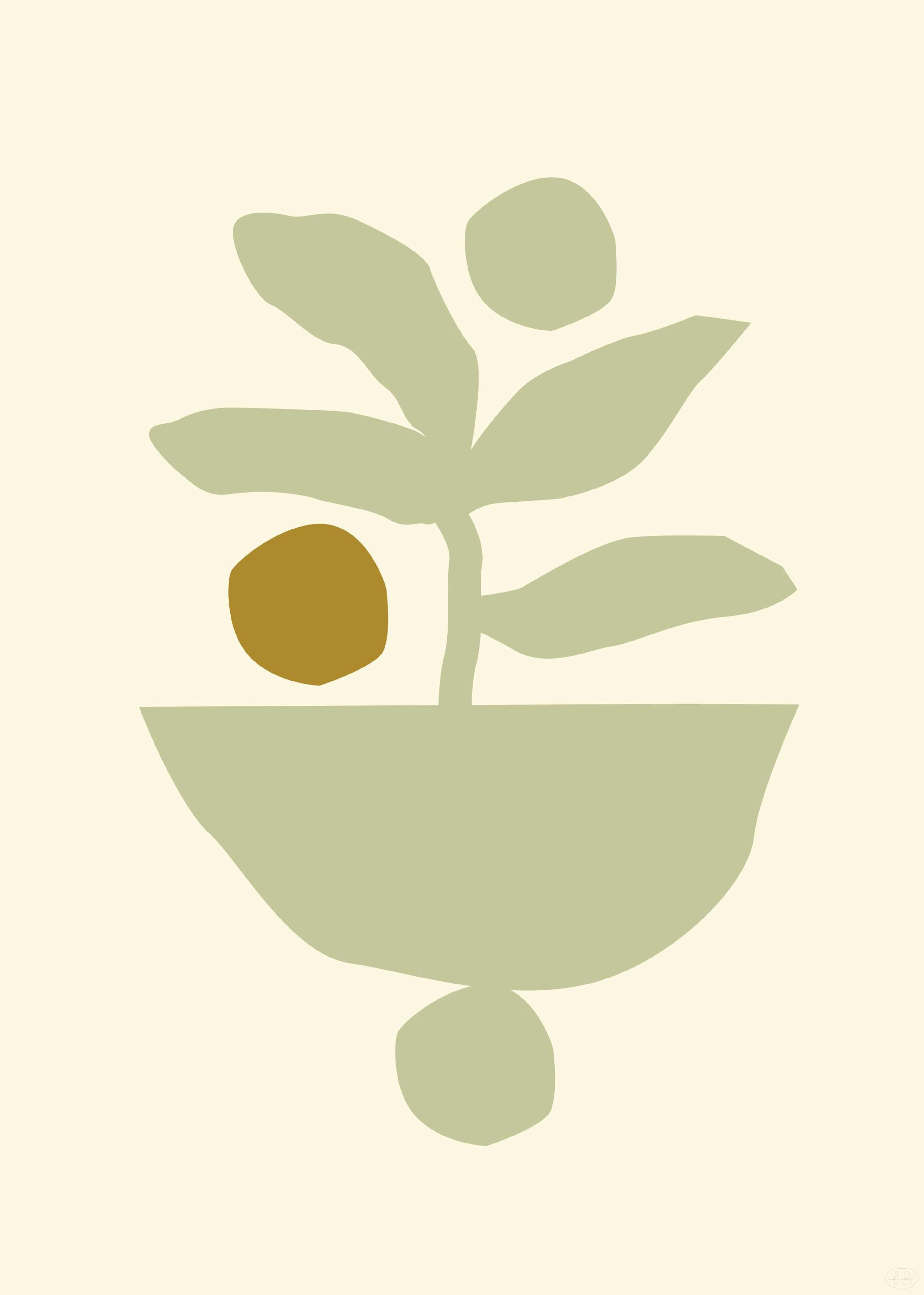 Berenice Hernandez - Maceta Beige Print 0