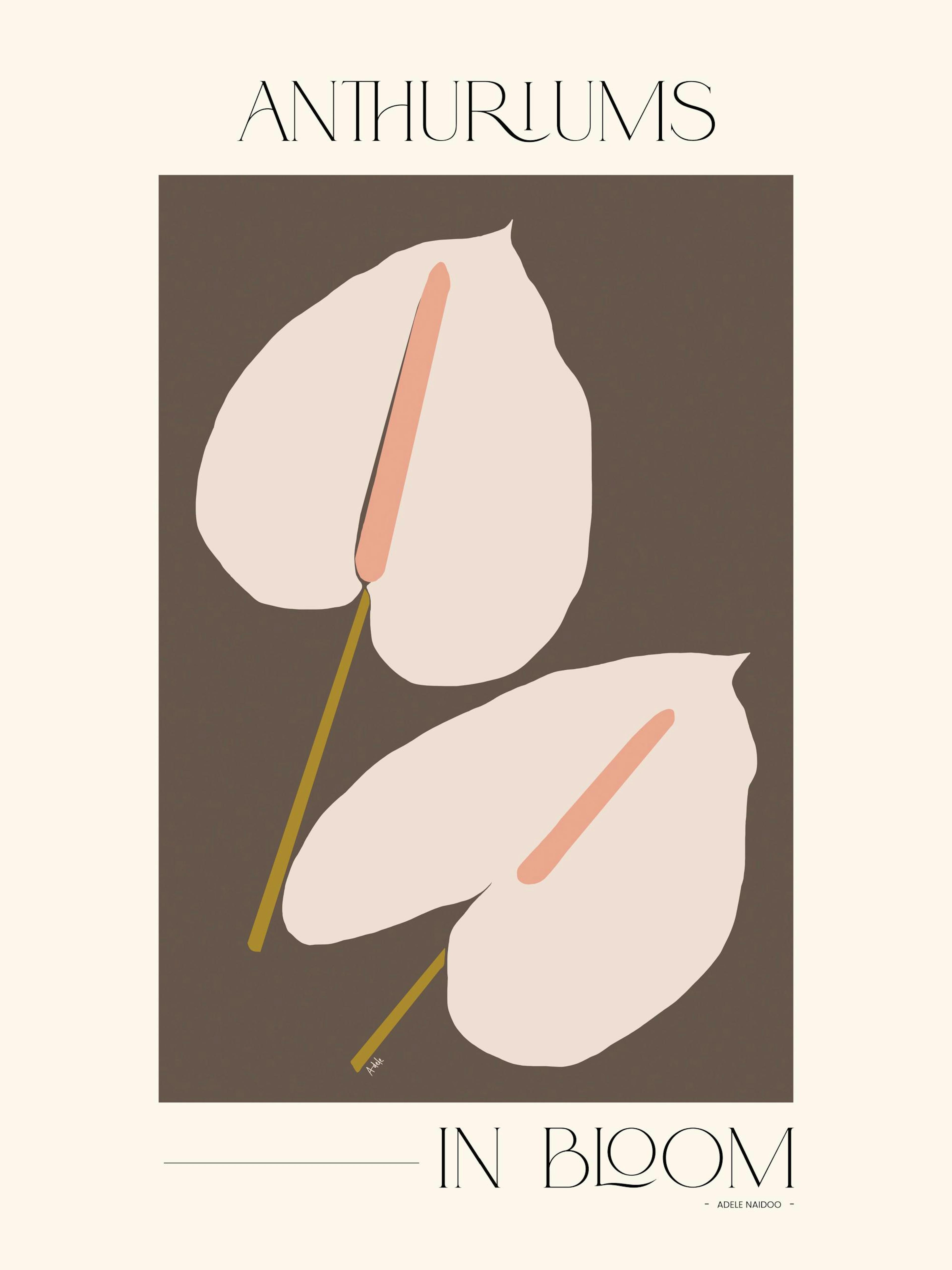Adele Naidoo - Anthuriums in Bloom Affiche 0