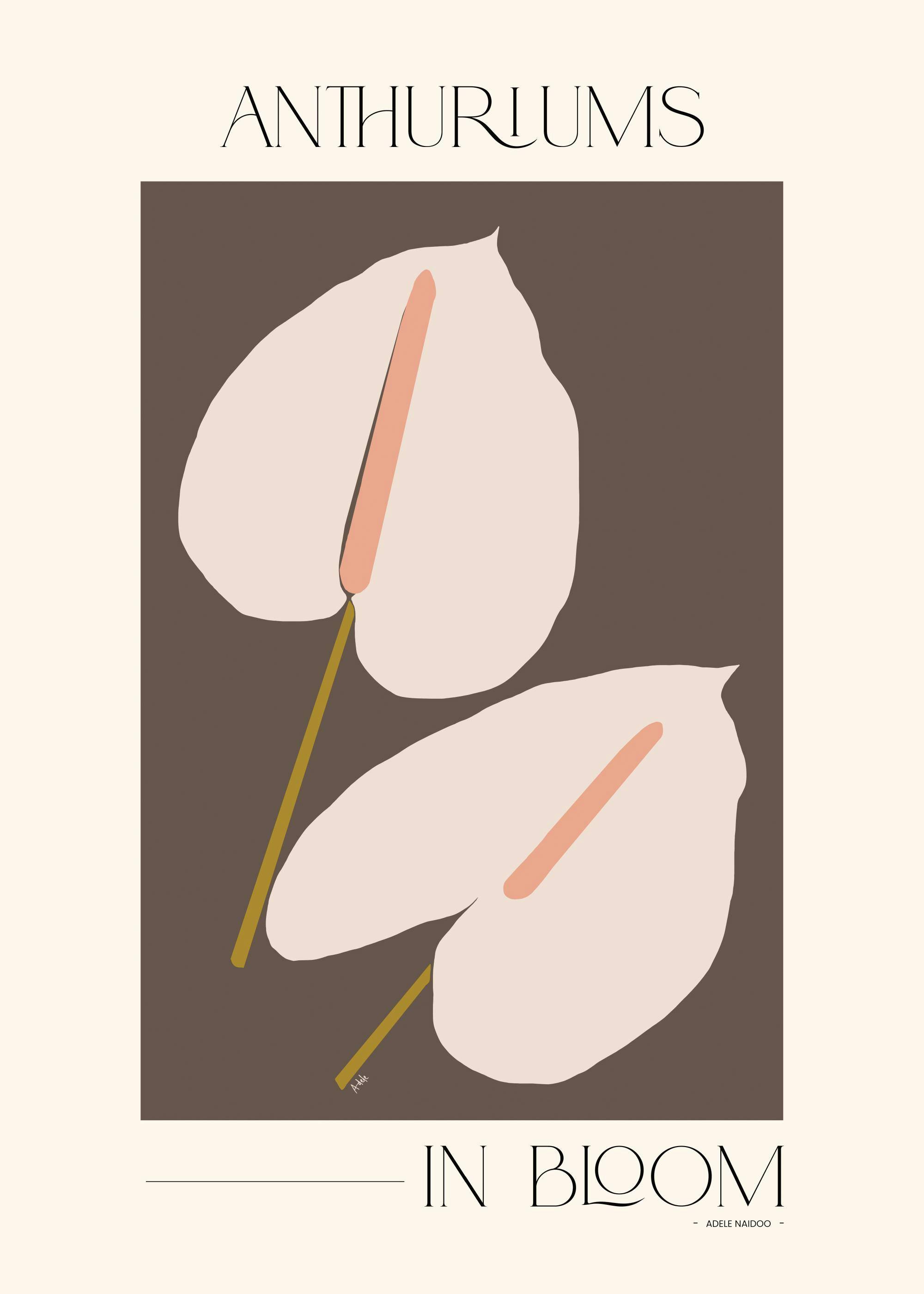 Adele Naidoo - Anthuriums in Bloom Plakat 0