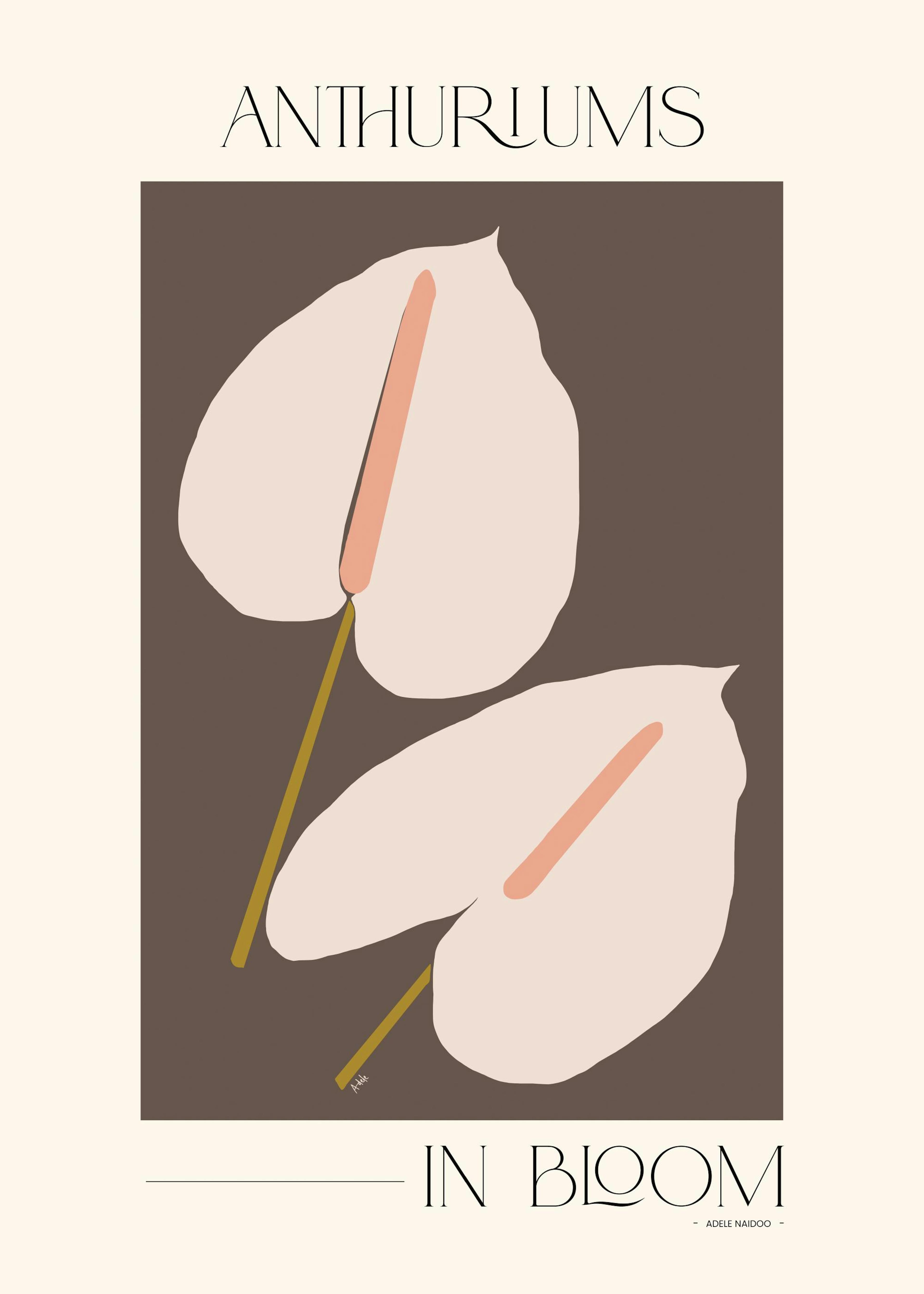 Adele Naidoo - Anthuriums in Bloom Plakat 0