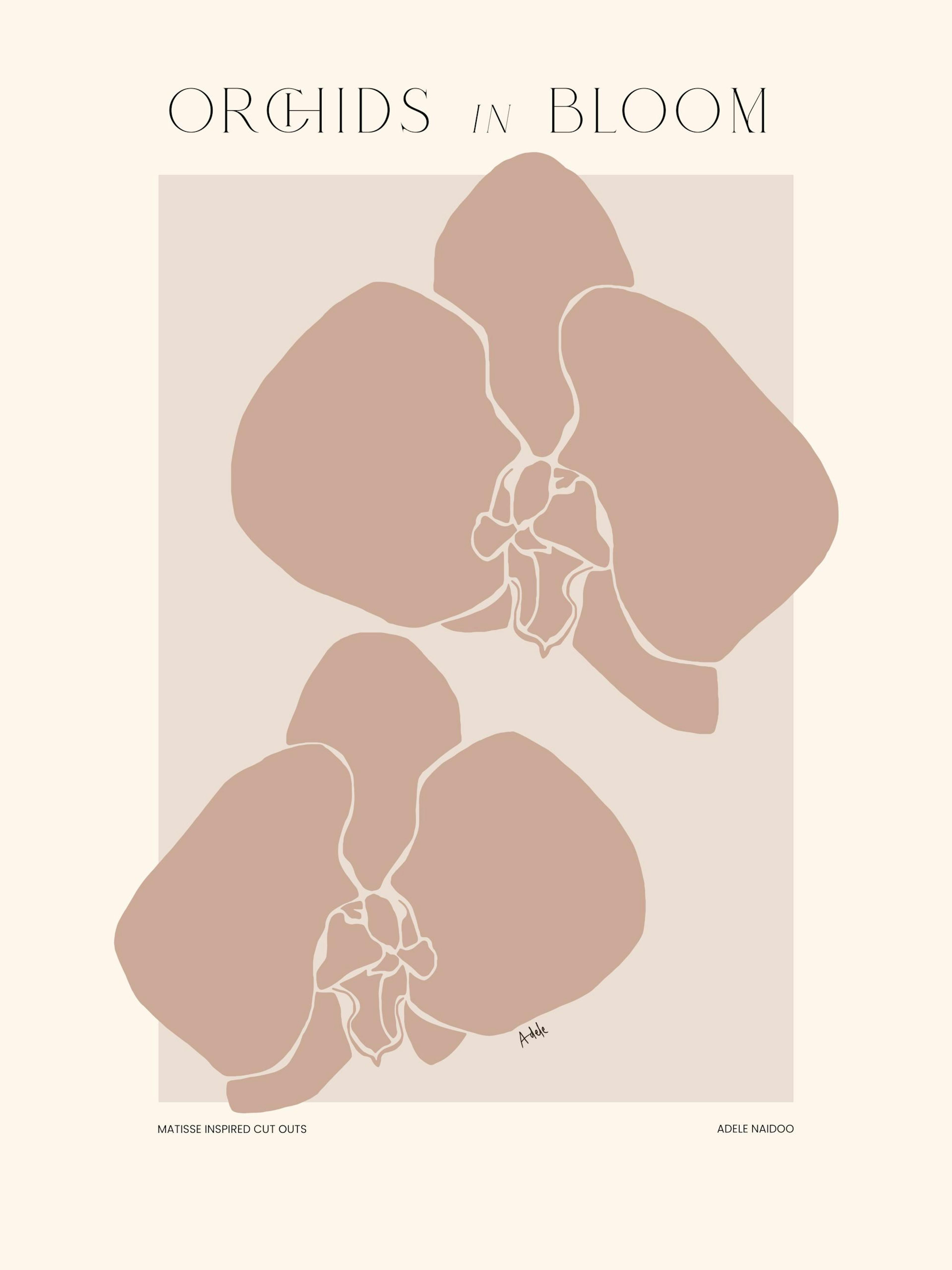 Adele Naidoo - Orchids in Bloom Poster