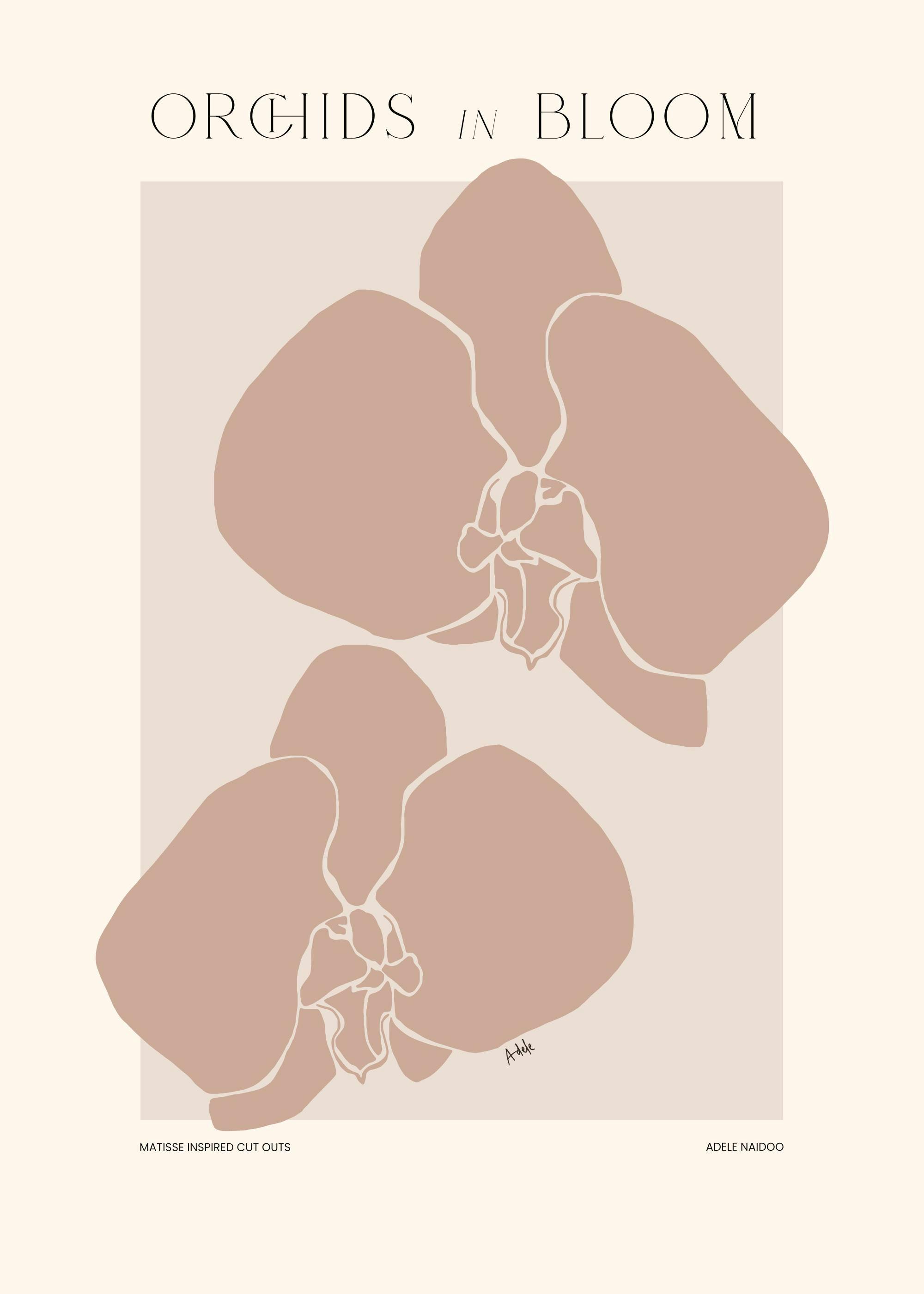 Adele Naidoo - Orchids in Bloom Plakat 0
