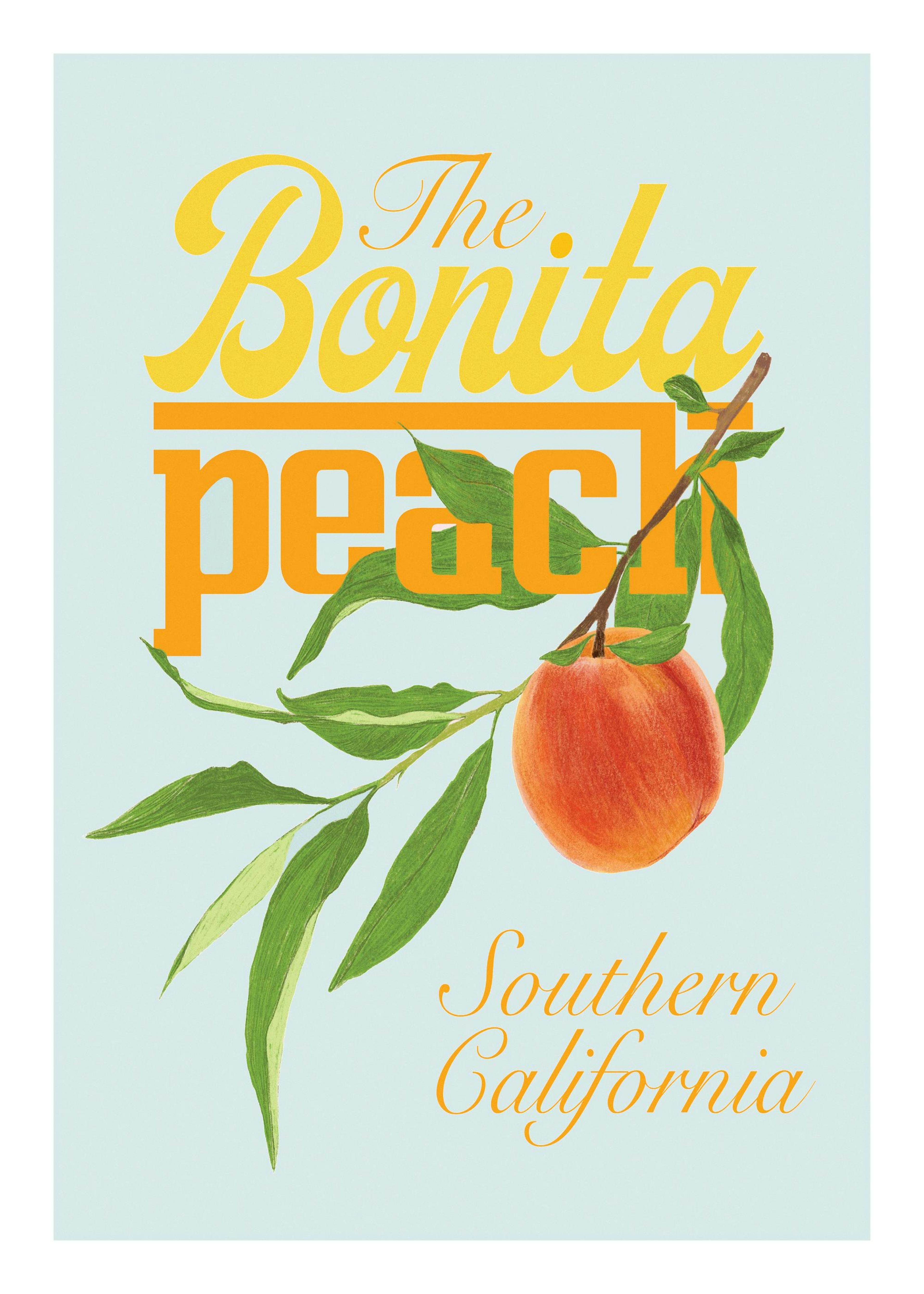 Jenny Liz Rome - The Bonita Peach Print 0