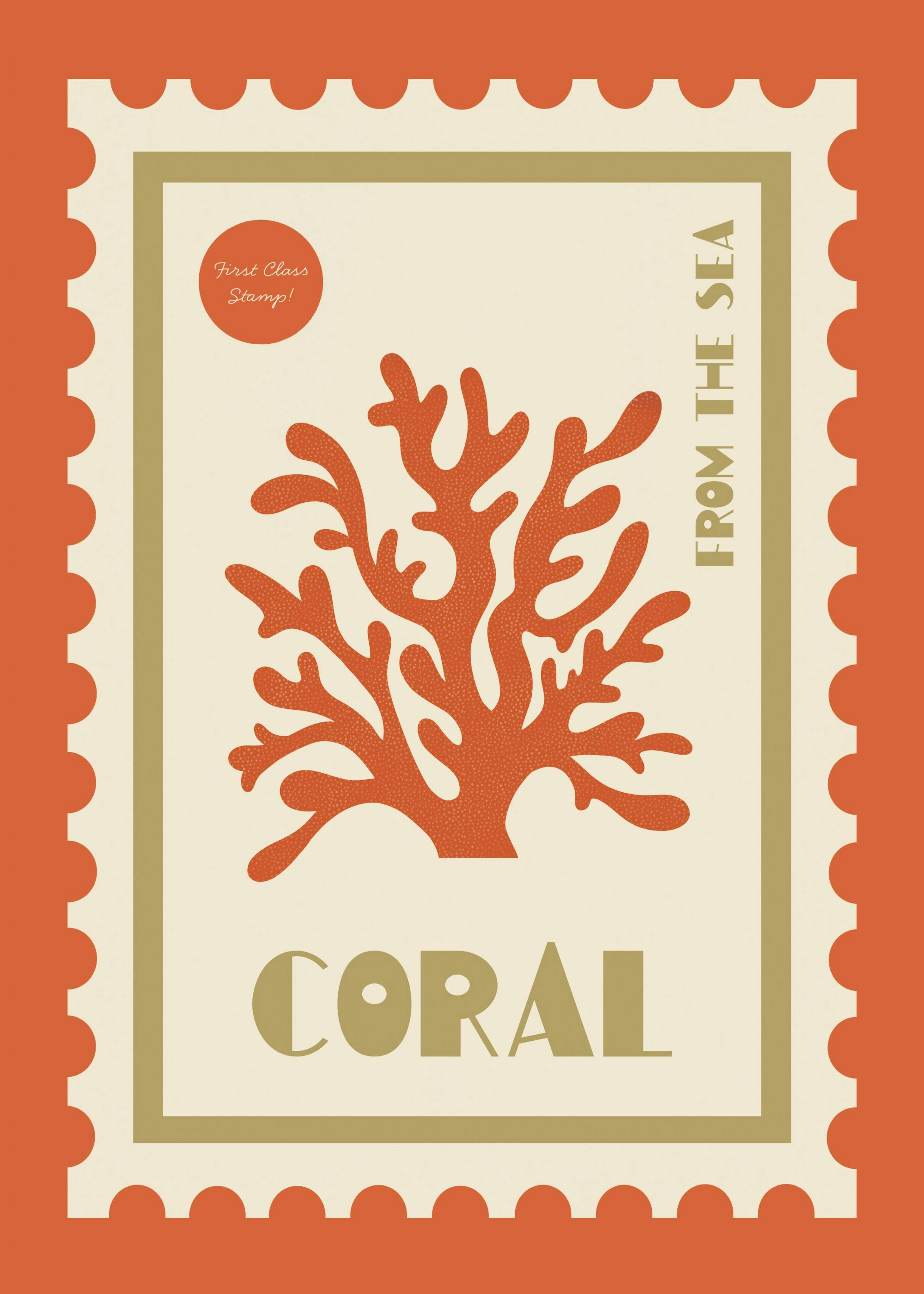 We Made Something Nice - Coral Poster 0