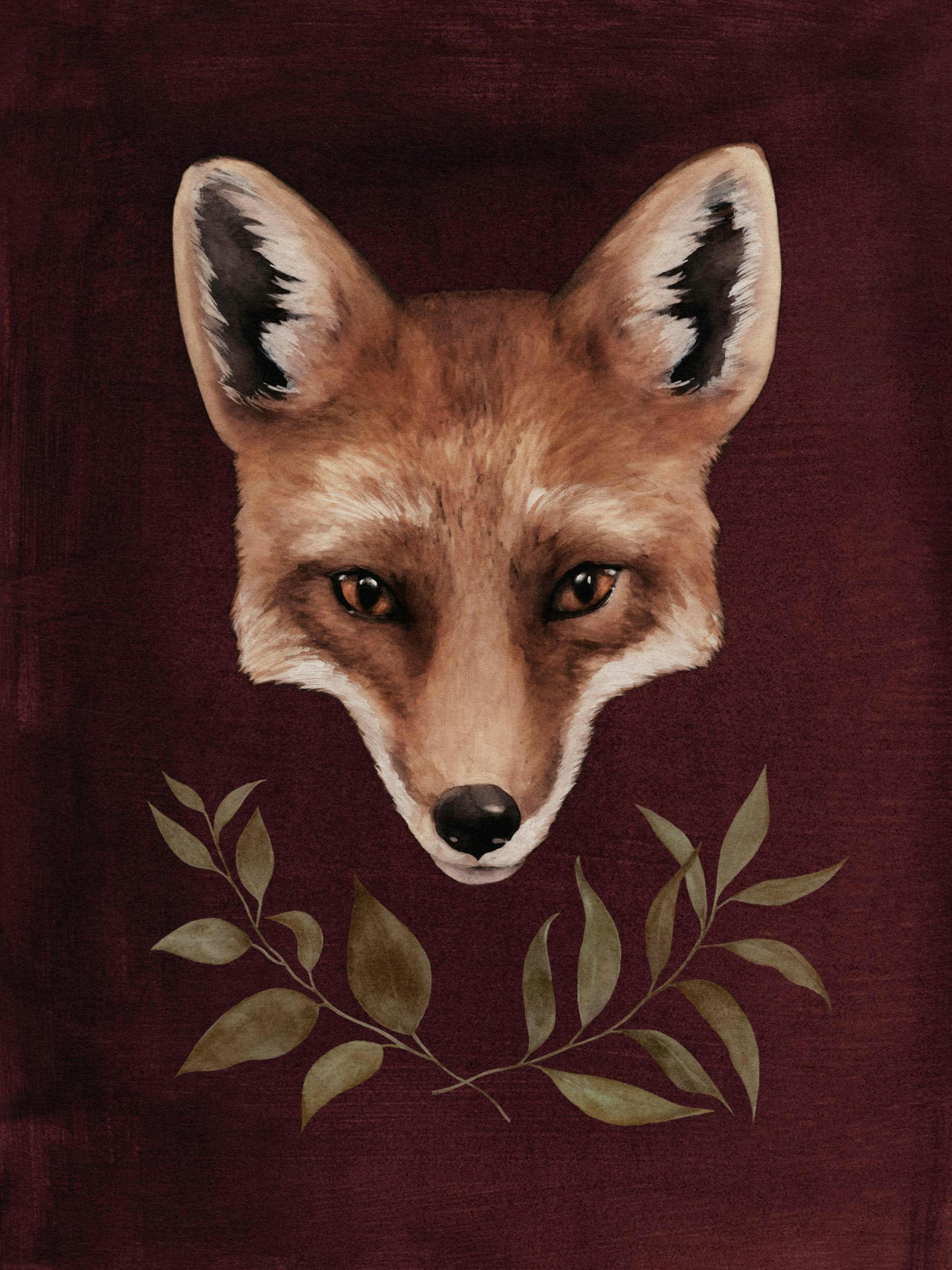 Red Fox Plakat 0