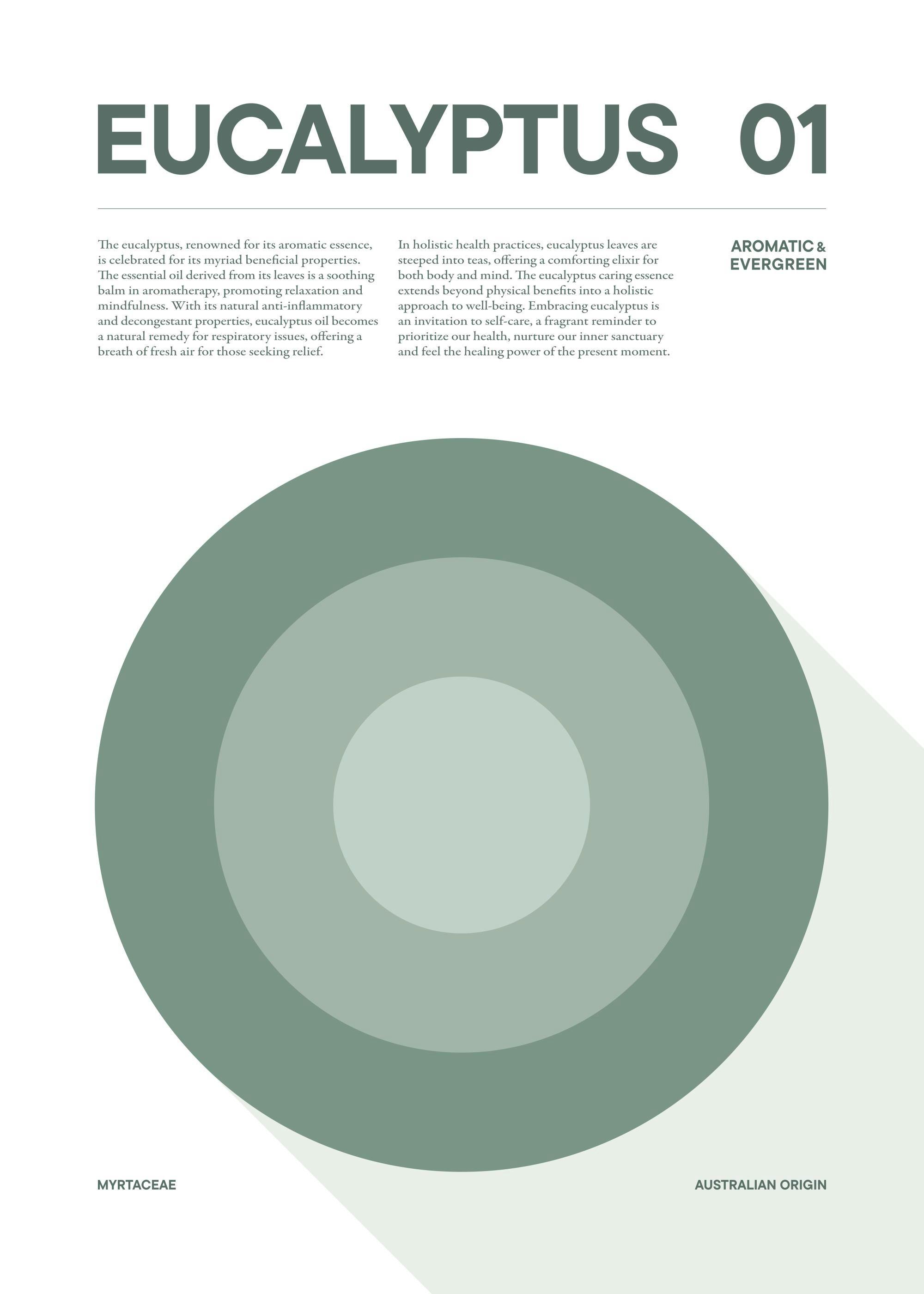 Graphical Eucalyptus Plakat 0