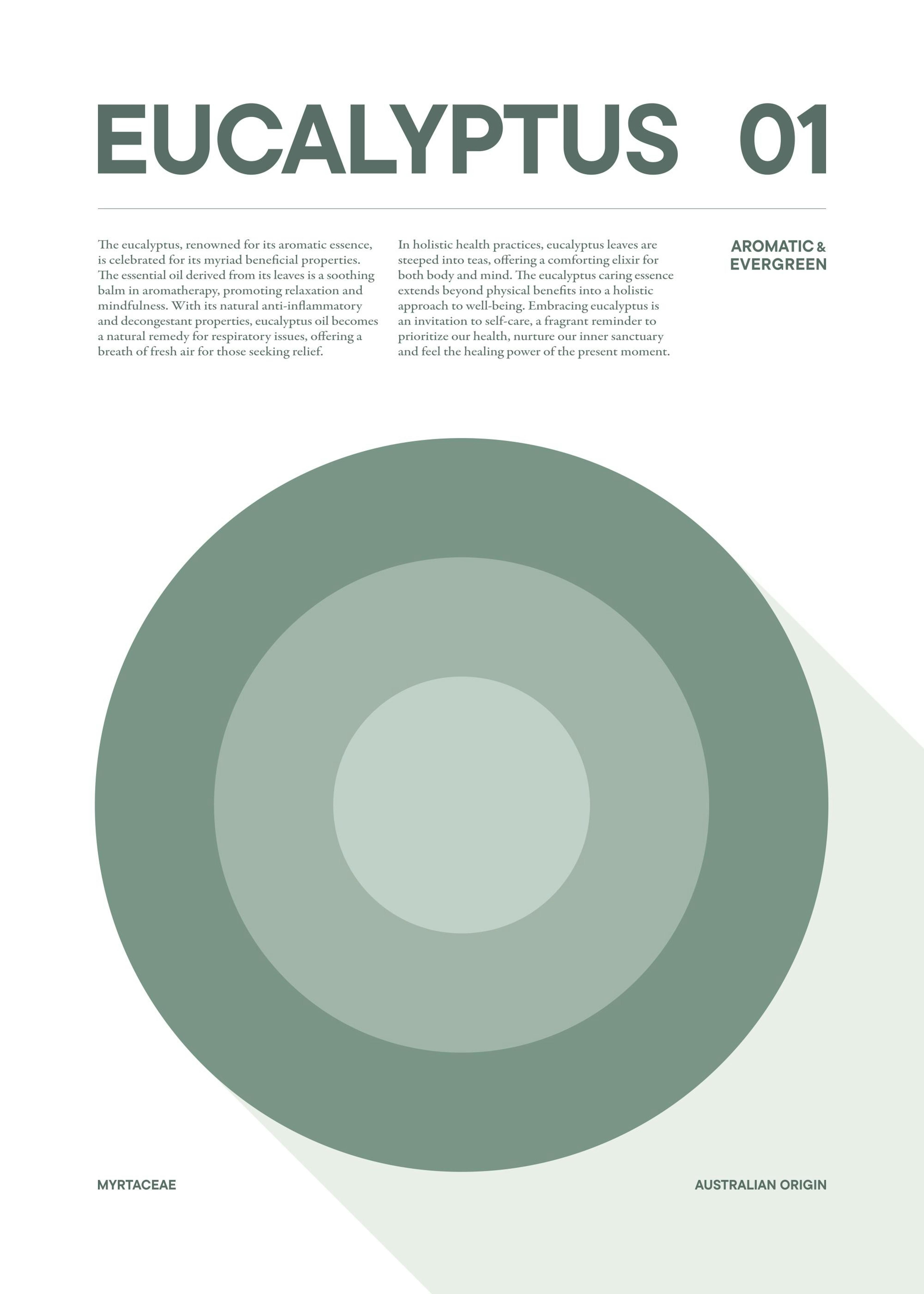 Graphical Eucalyptus Plakat 0
