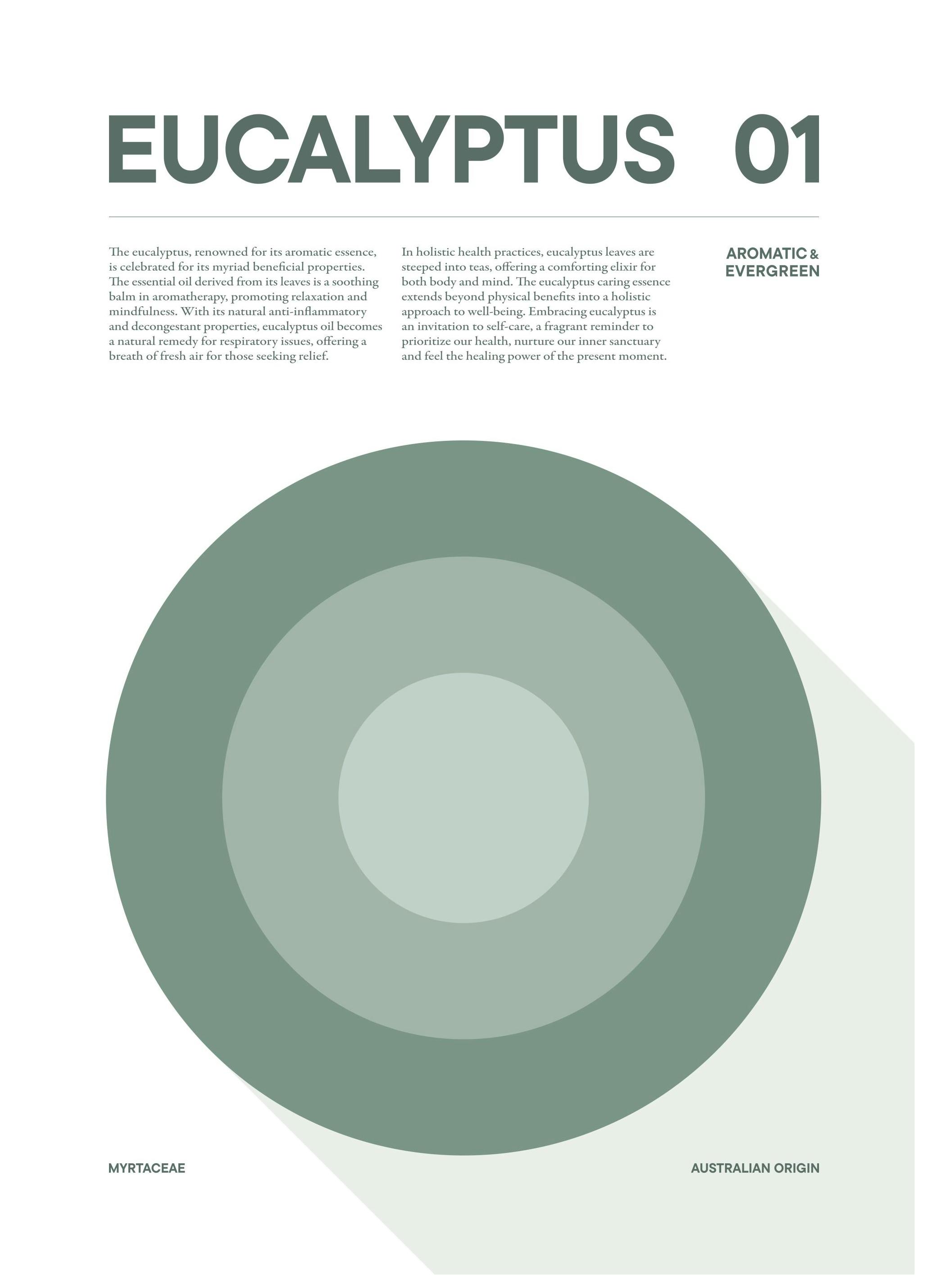 Graphical Eucalyptus Poster (50x70 cm)- Arte grafica e poster