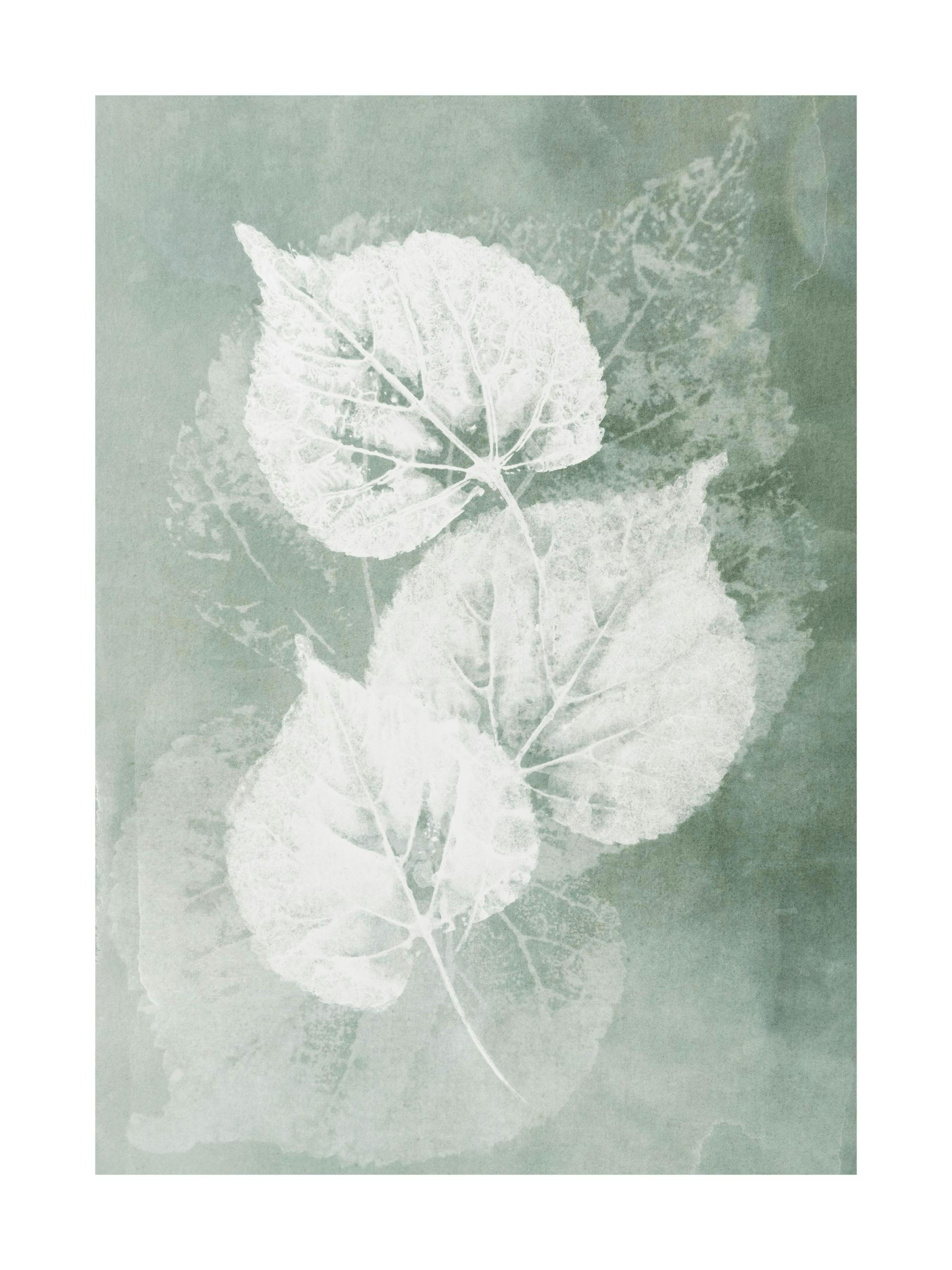 Pressed Leaves Print