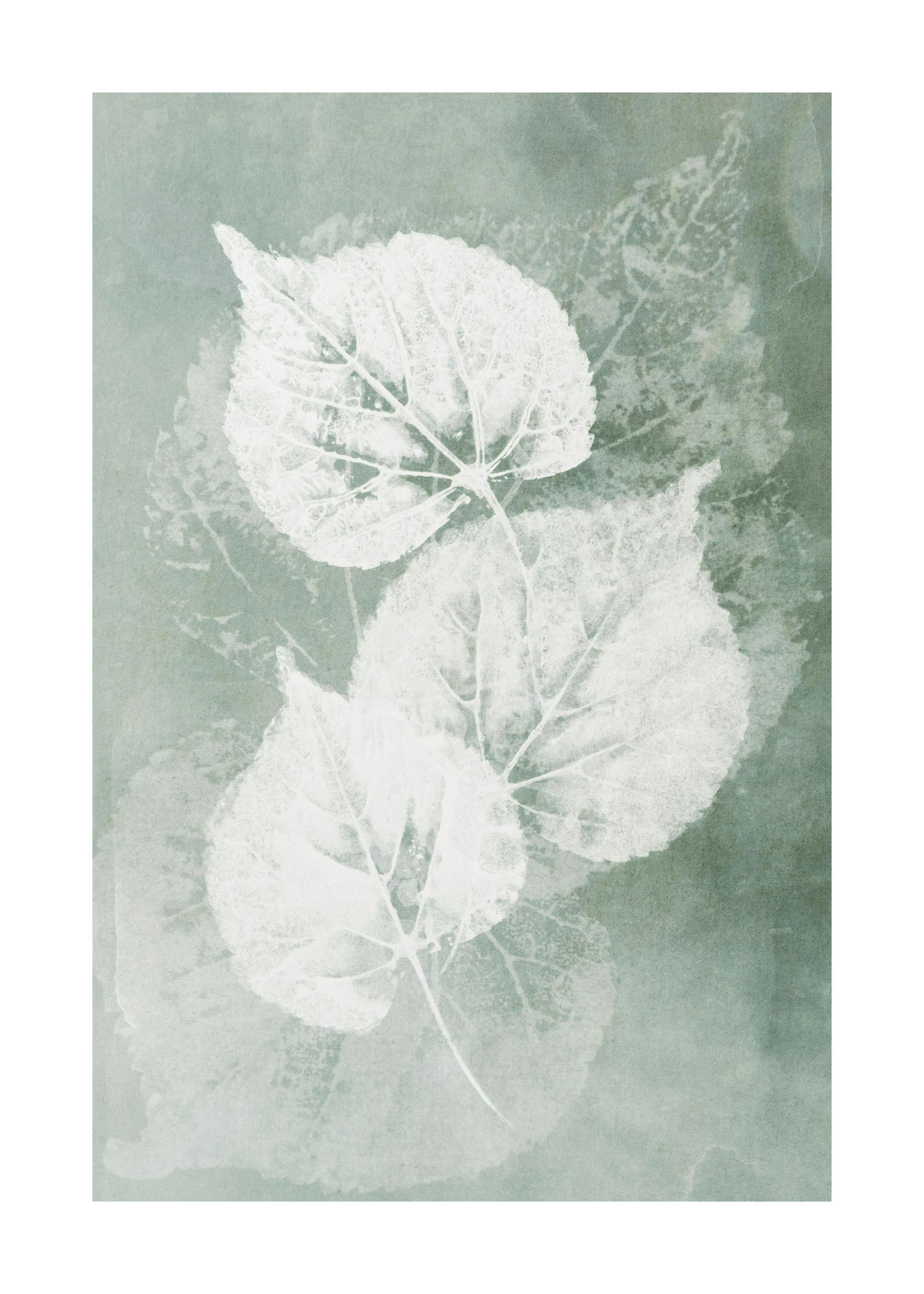 Pressed Leaves Plakat 0