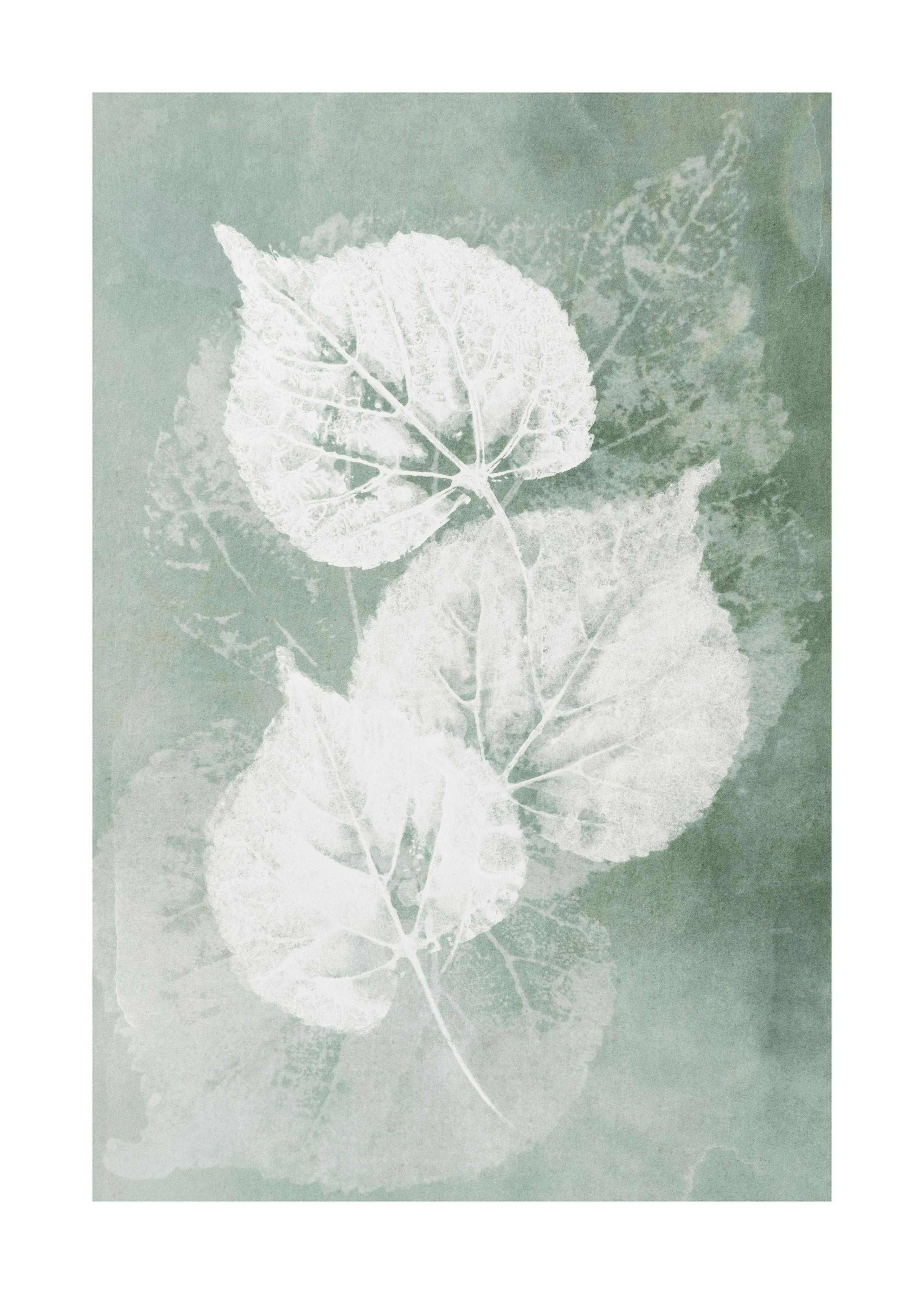 Pressed Leaves Poster 0