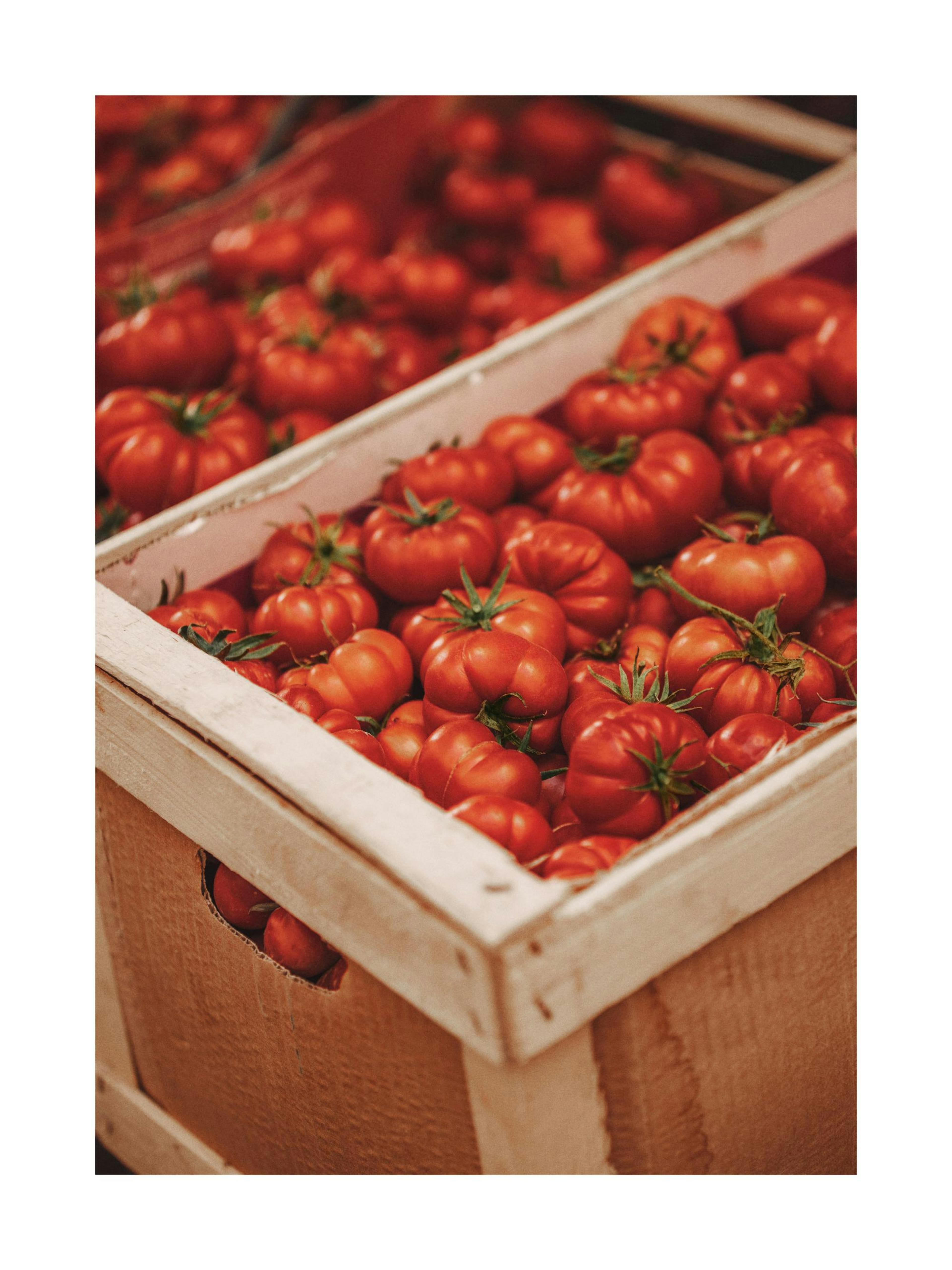 Pomodoro Passion Poster
