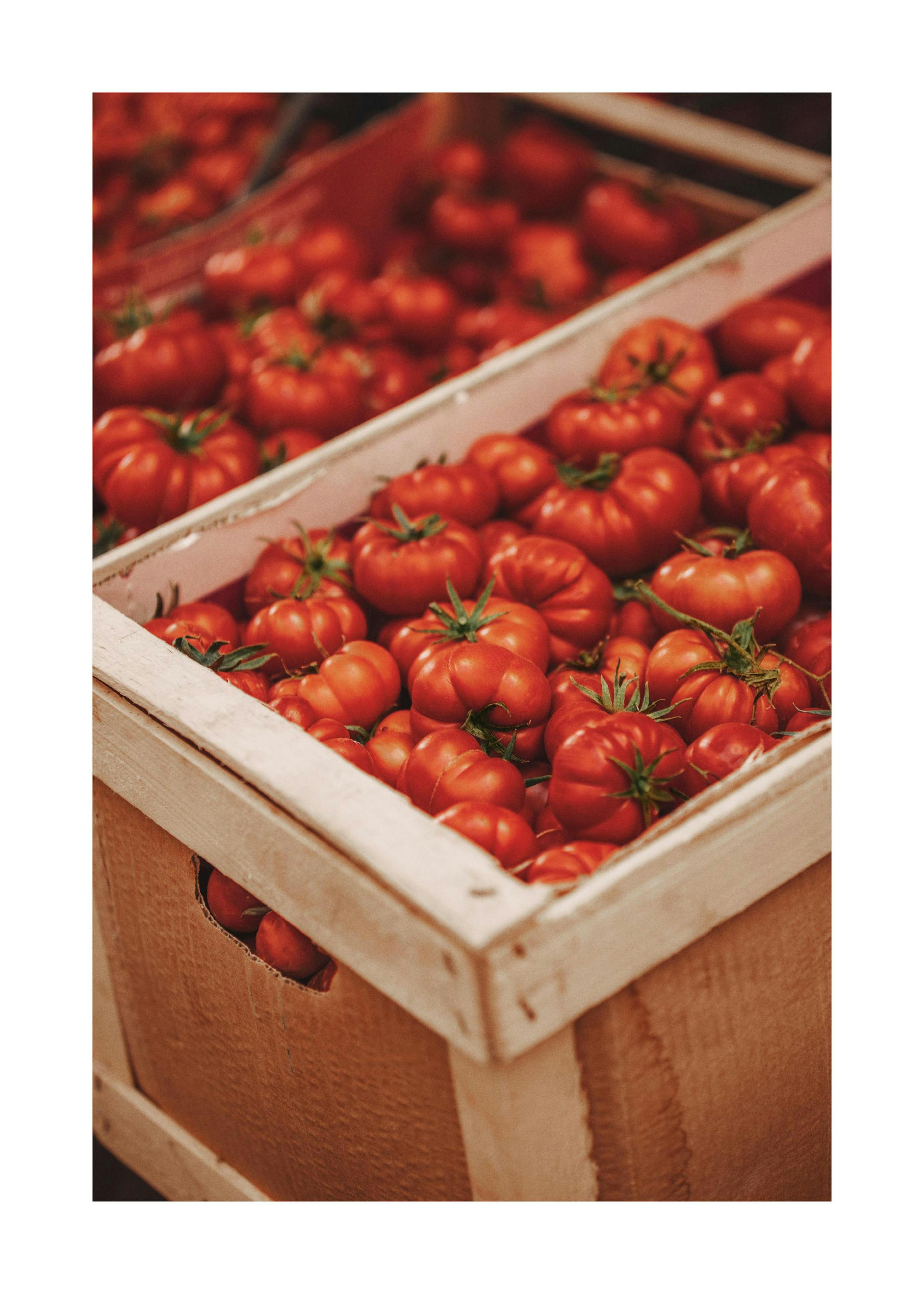 Pomodoro Passion Print 0