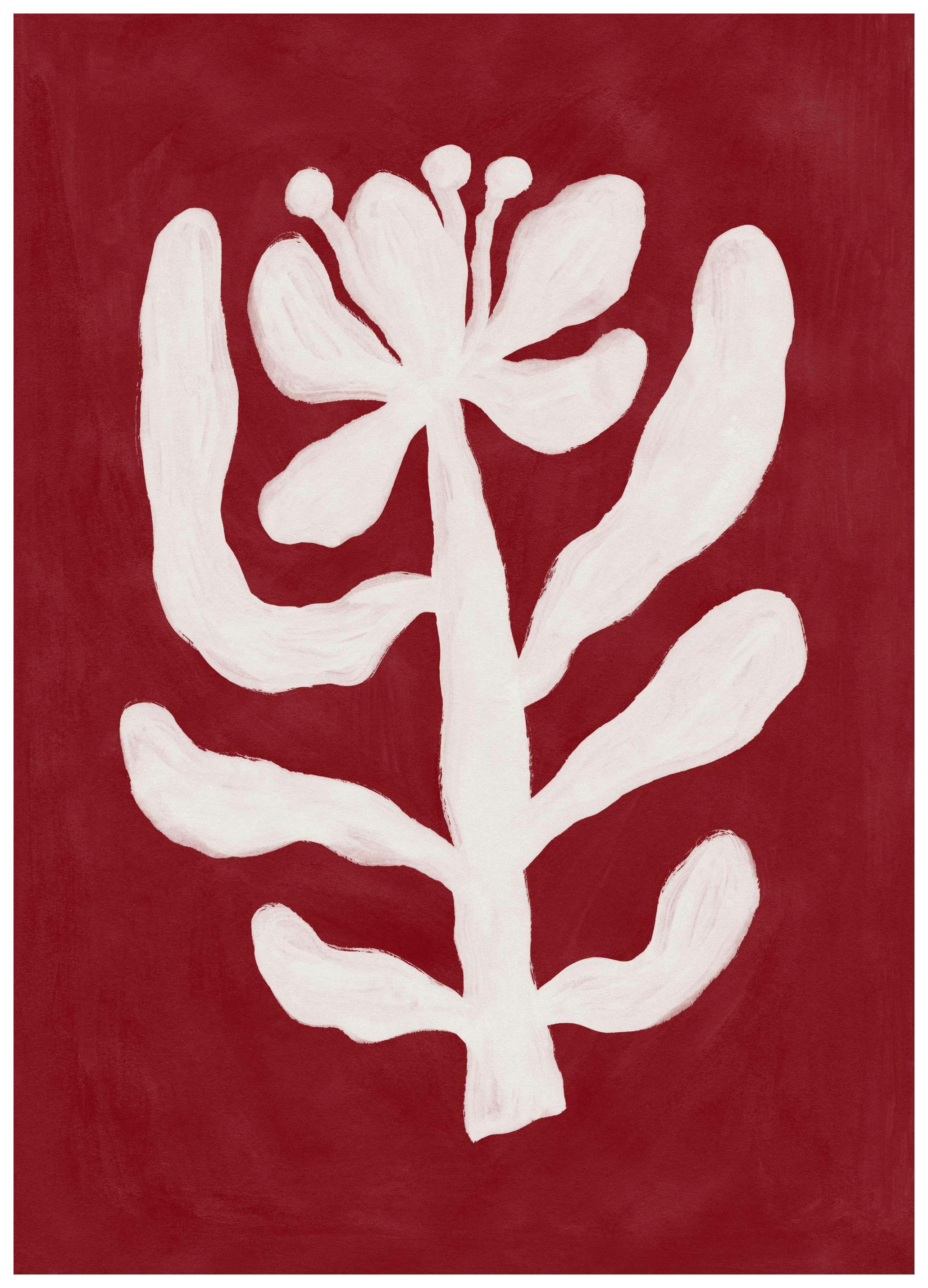 Prints - Rustic Flower Print (50x70 cm) - Illustration prints