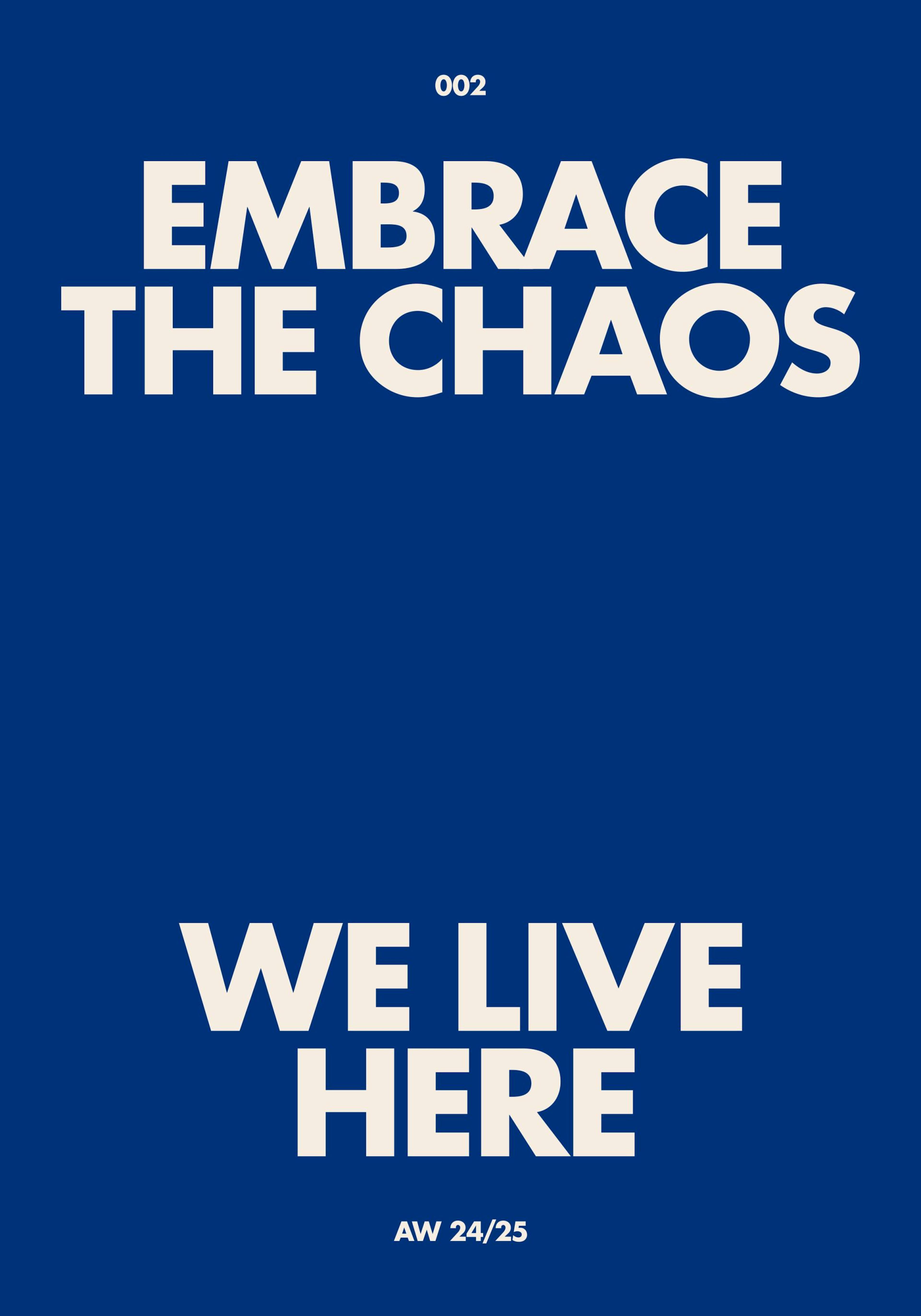Embrace the Chaos Poster
