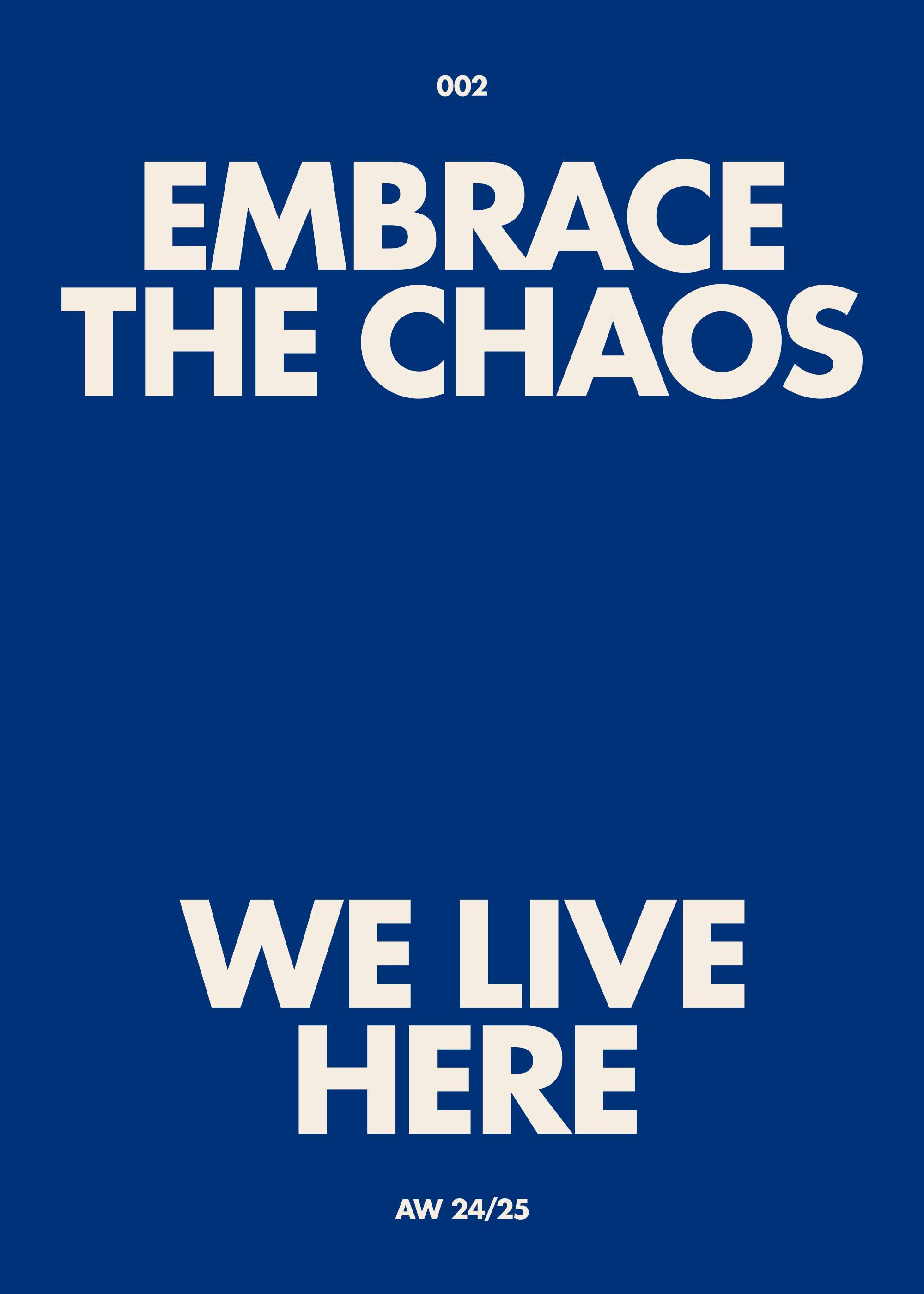 Embrace the Chaos Poster 0