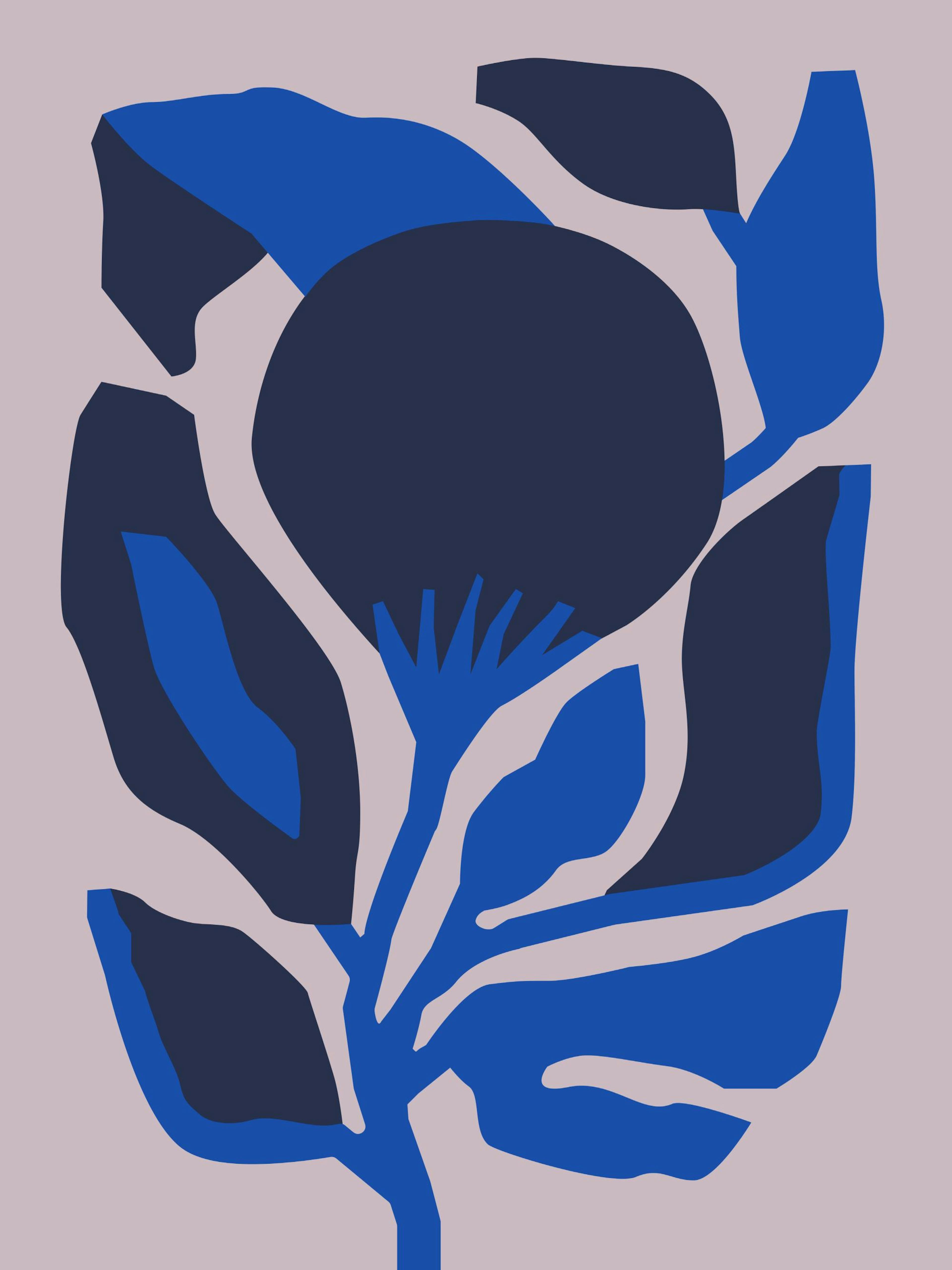Berenice Hernandez - Flor Enero Poster