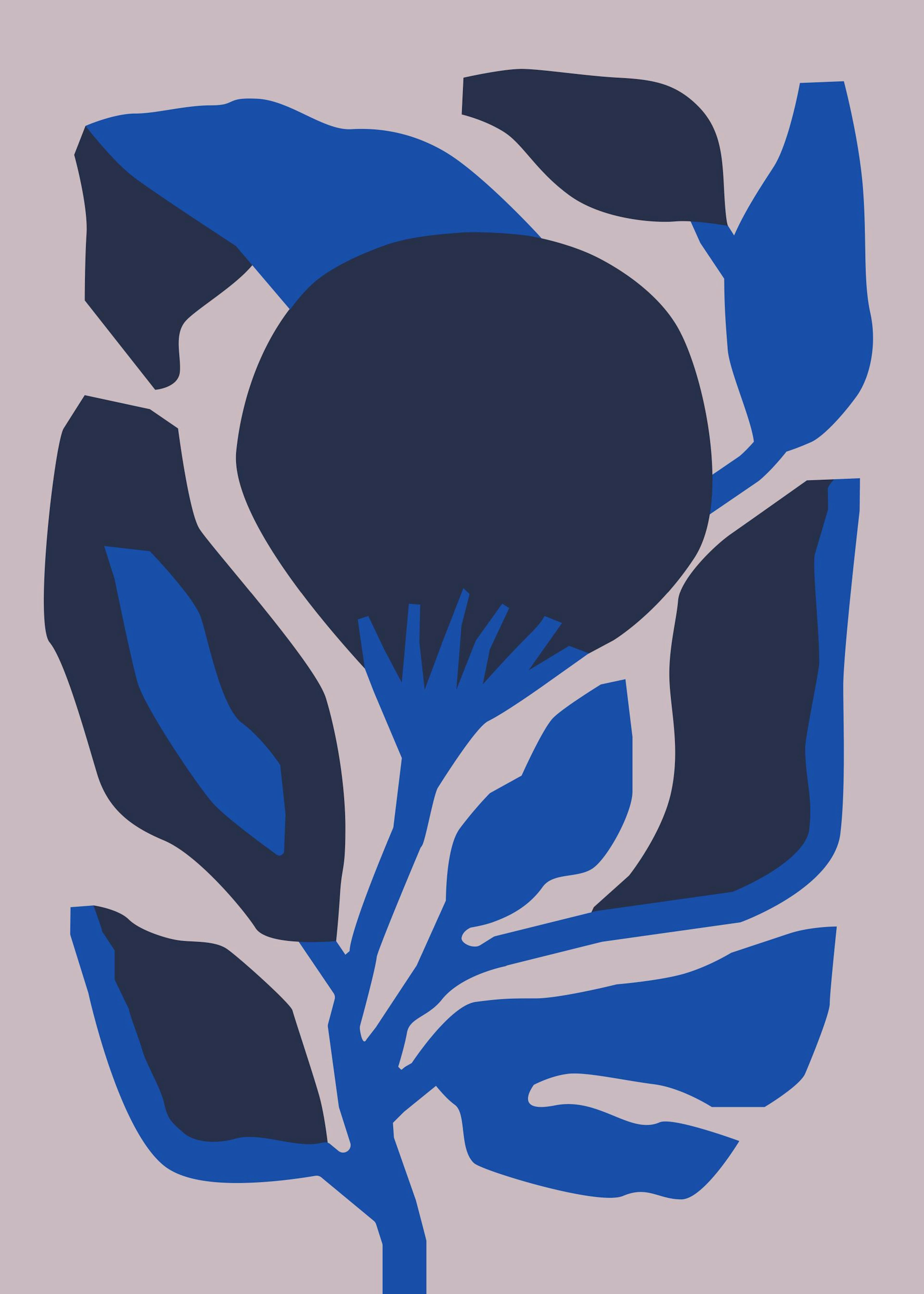 Berenice Hernandez - Flor Enero Poster 0