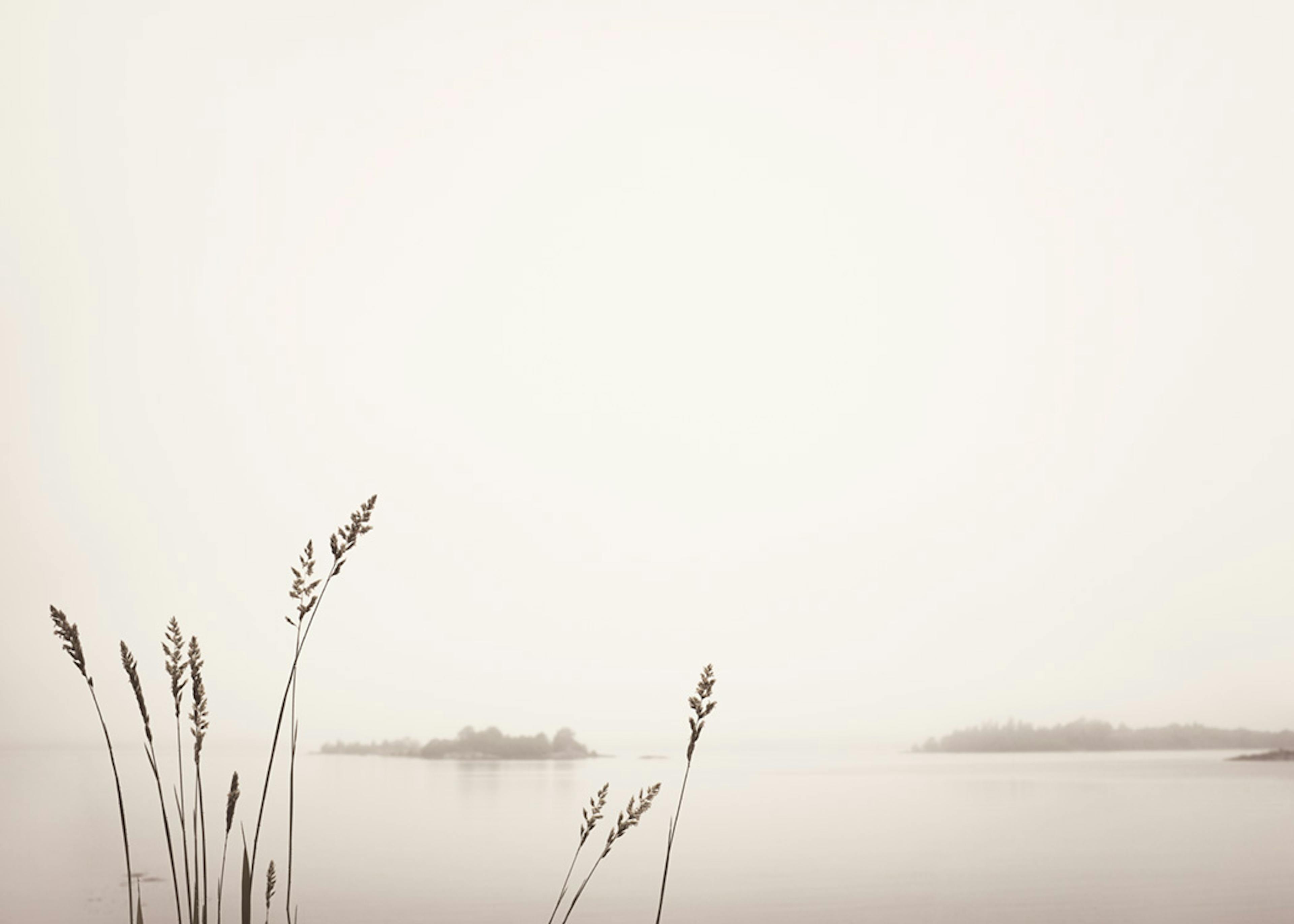 Reed by Foggy Lake Poster 0
