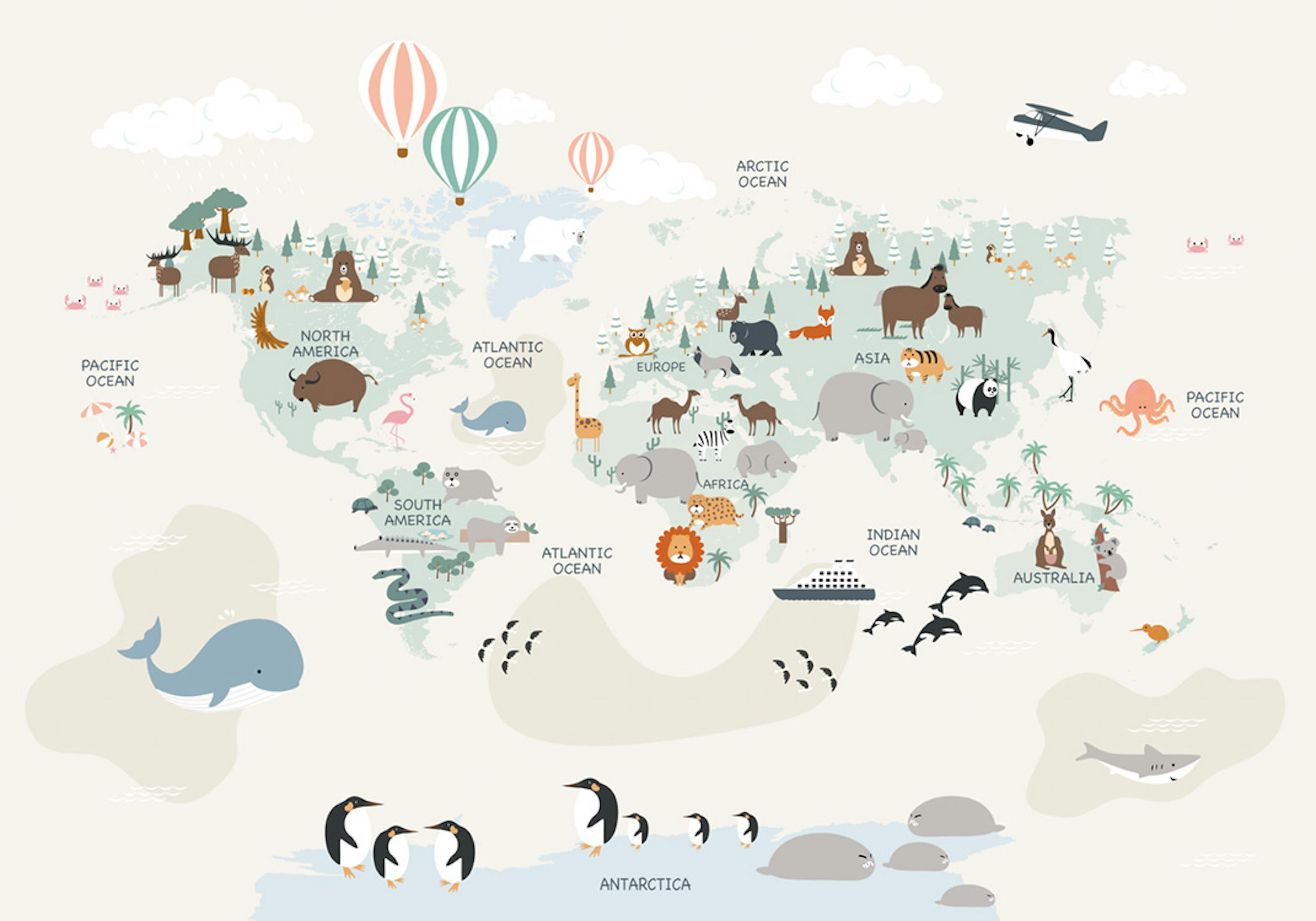 Animals of the World No2 Poster 0