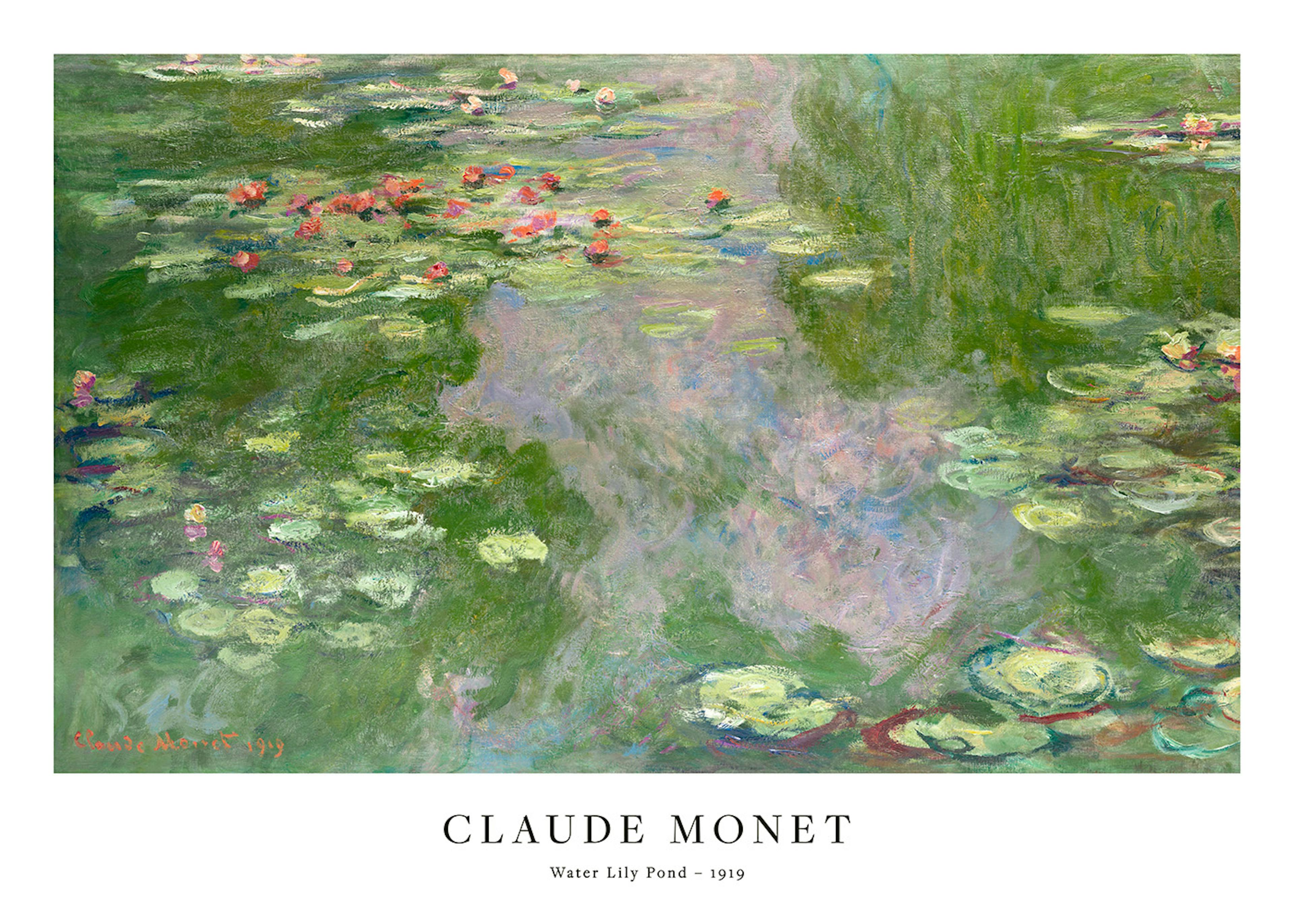 Monet - Water Lily Pond Print