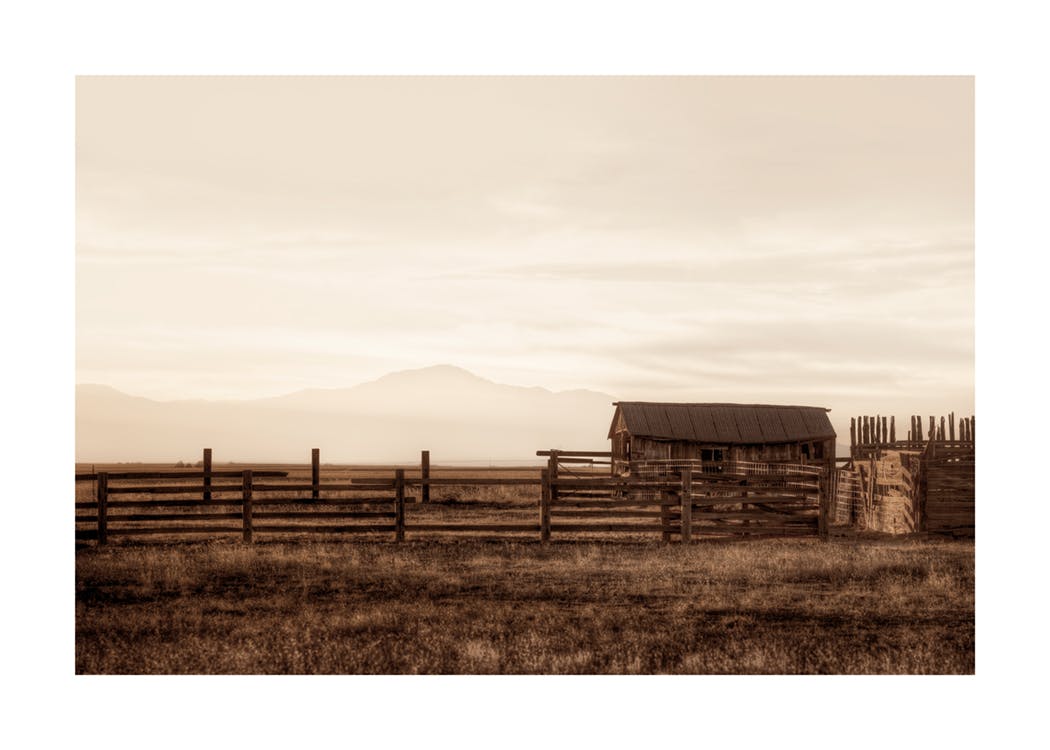 Old Barn Print 0