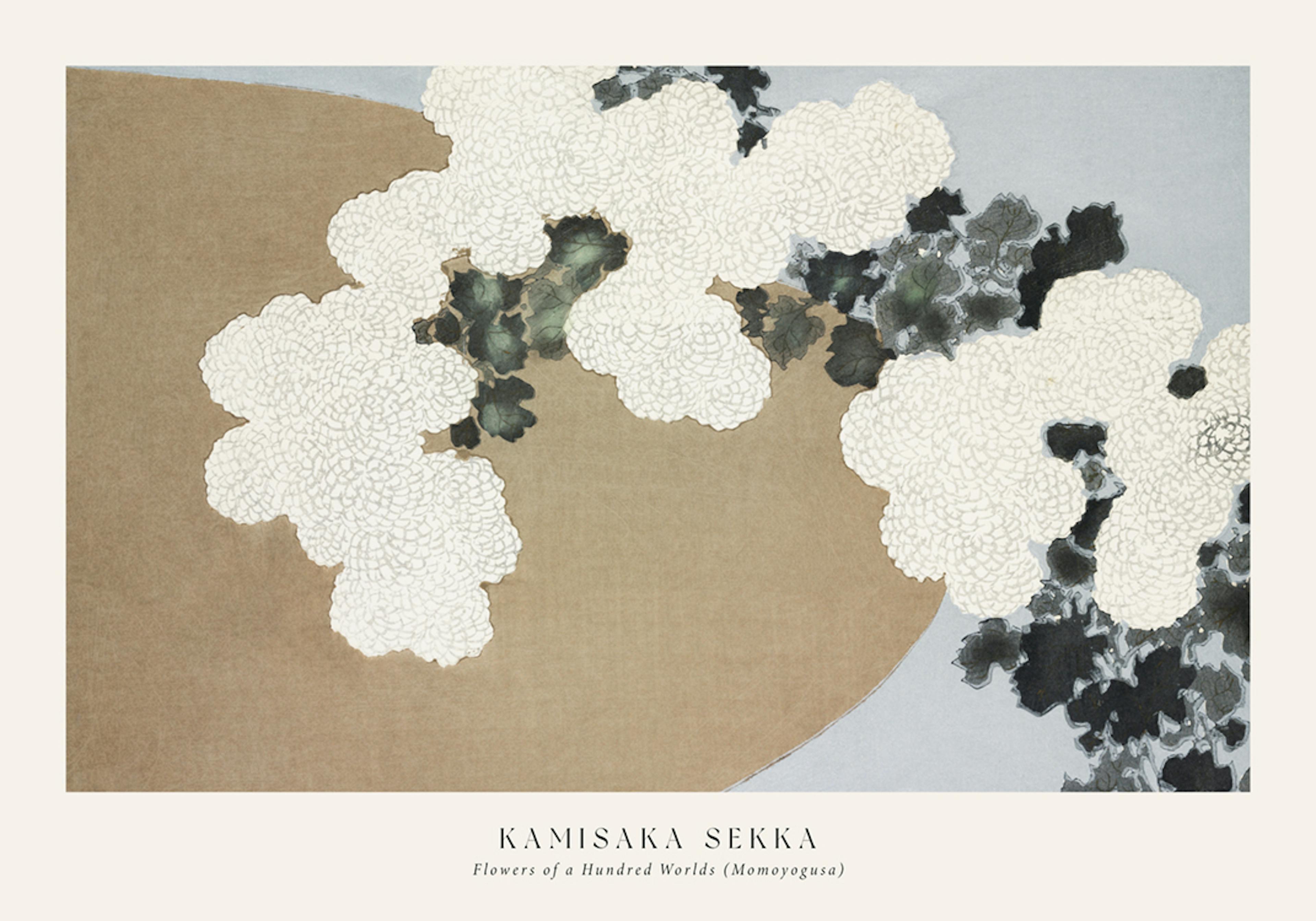 Kamisaka Sekka - Flowers of a Hundred Worlds (Momoyogusa) 포스터